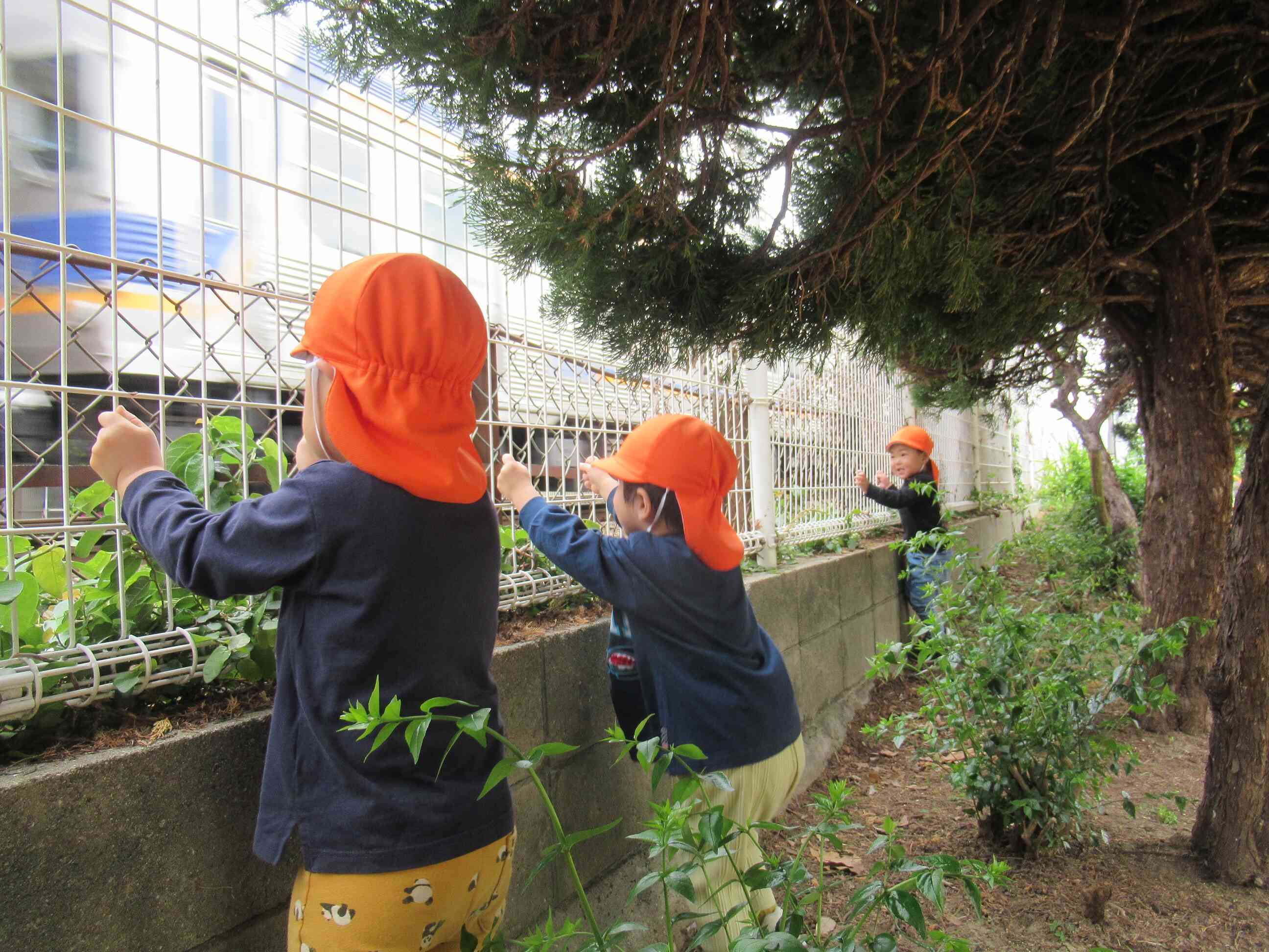電車みーつけた！