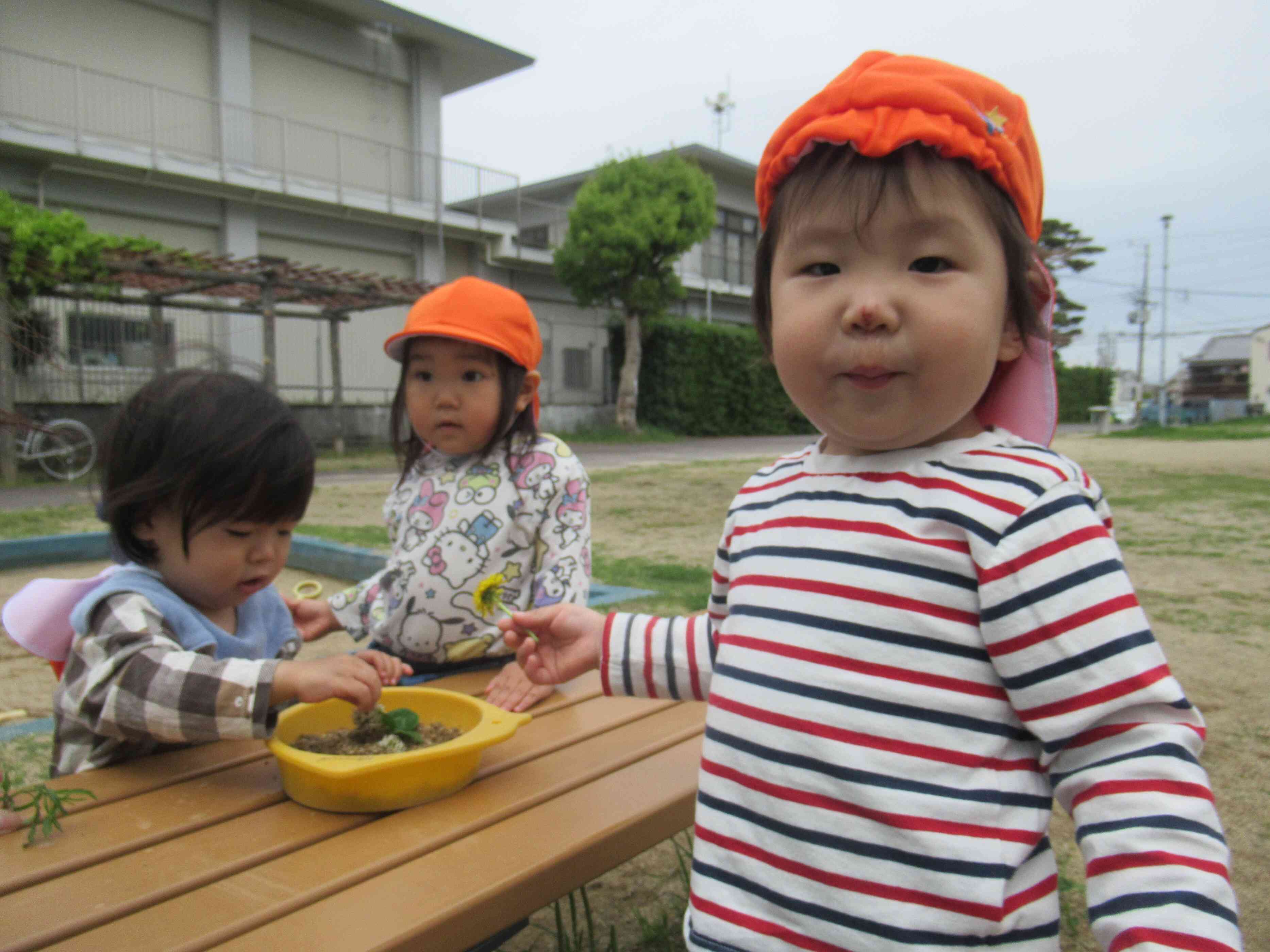 お散歩楽しいな♪