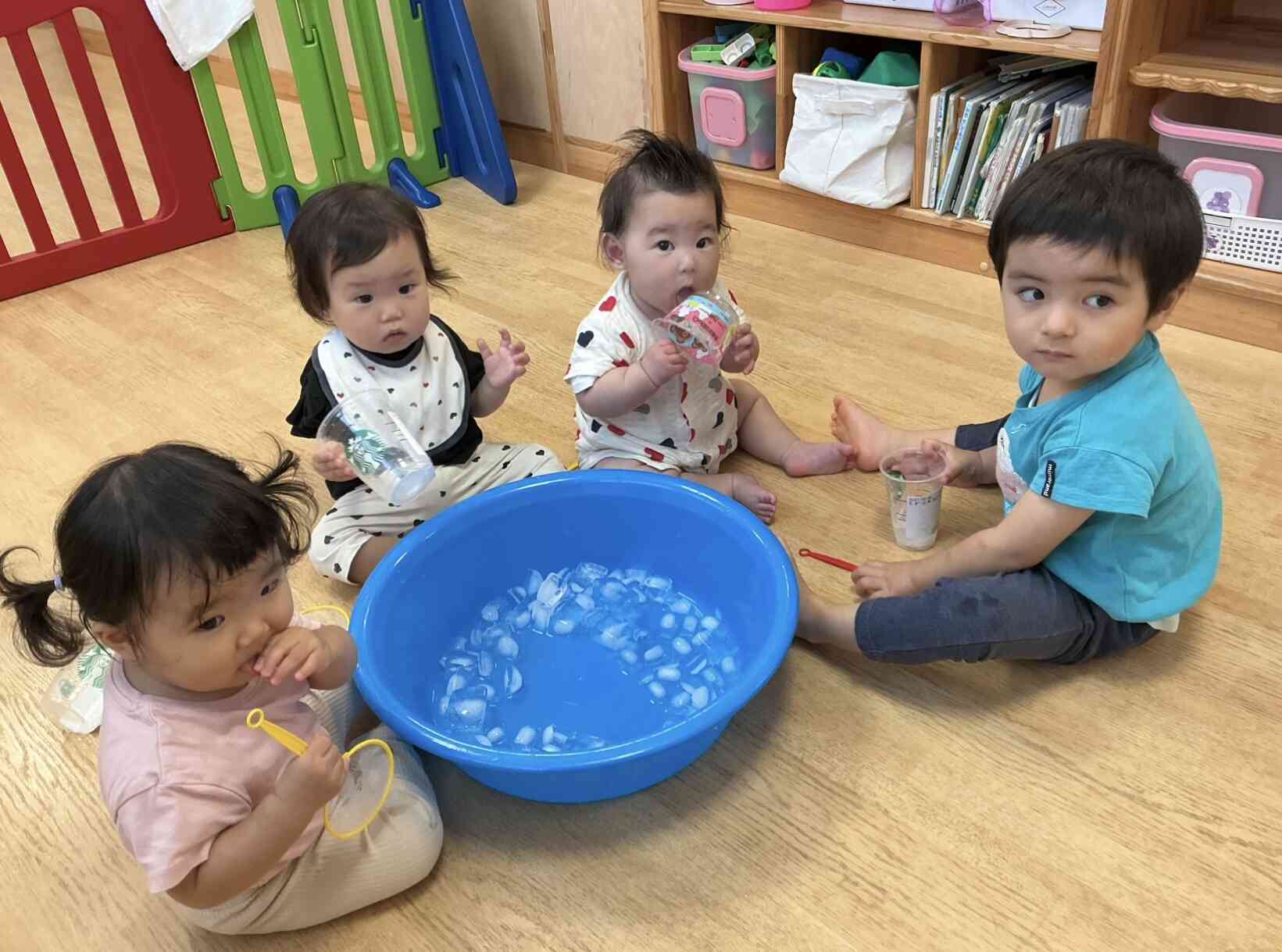 室内でも氷遊び‼︎