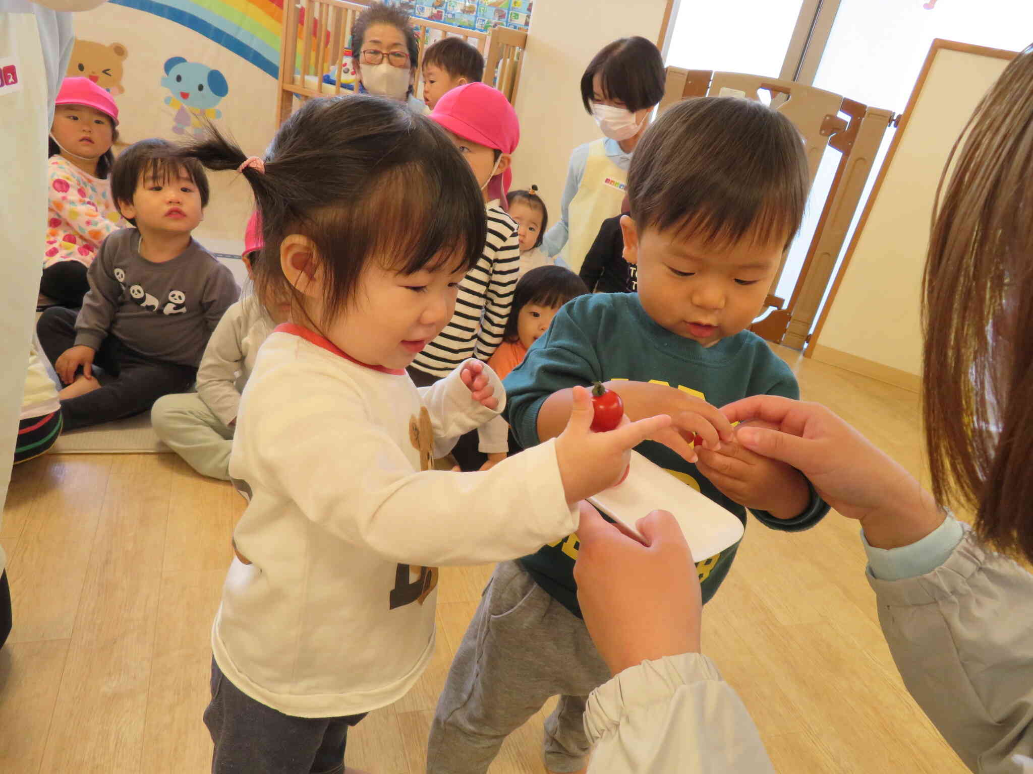 実物のトマトが登場!