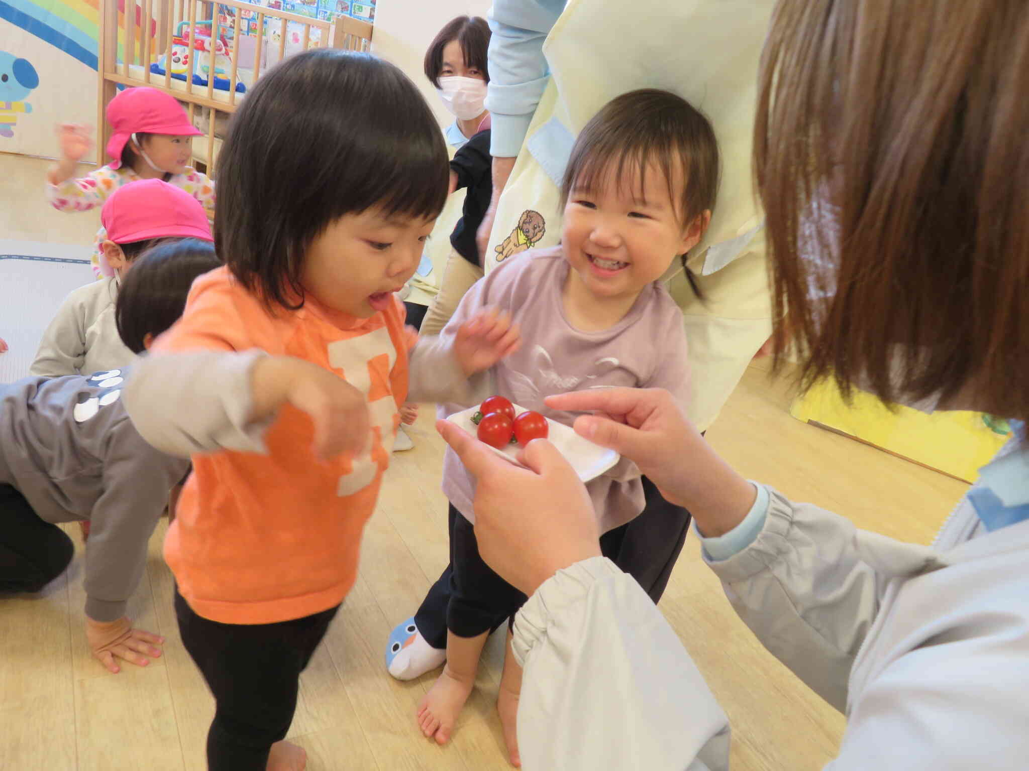 トマト美味しそうだね！