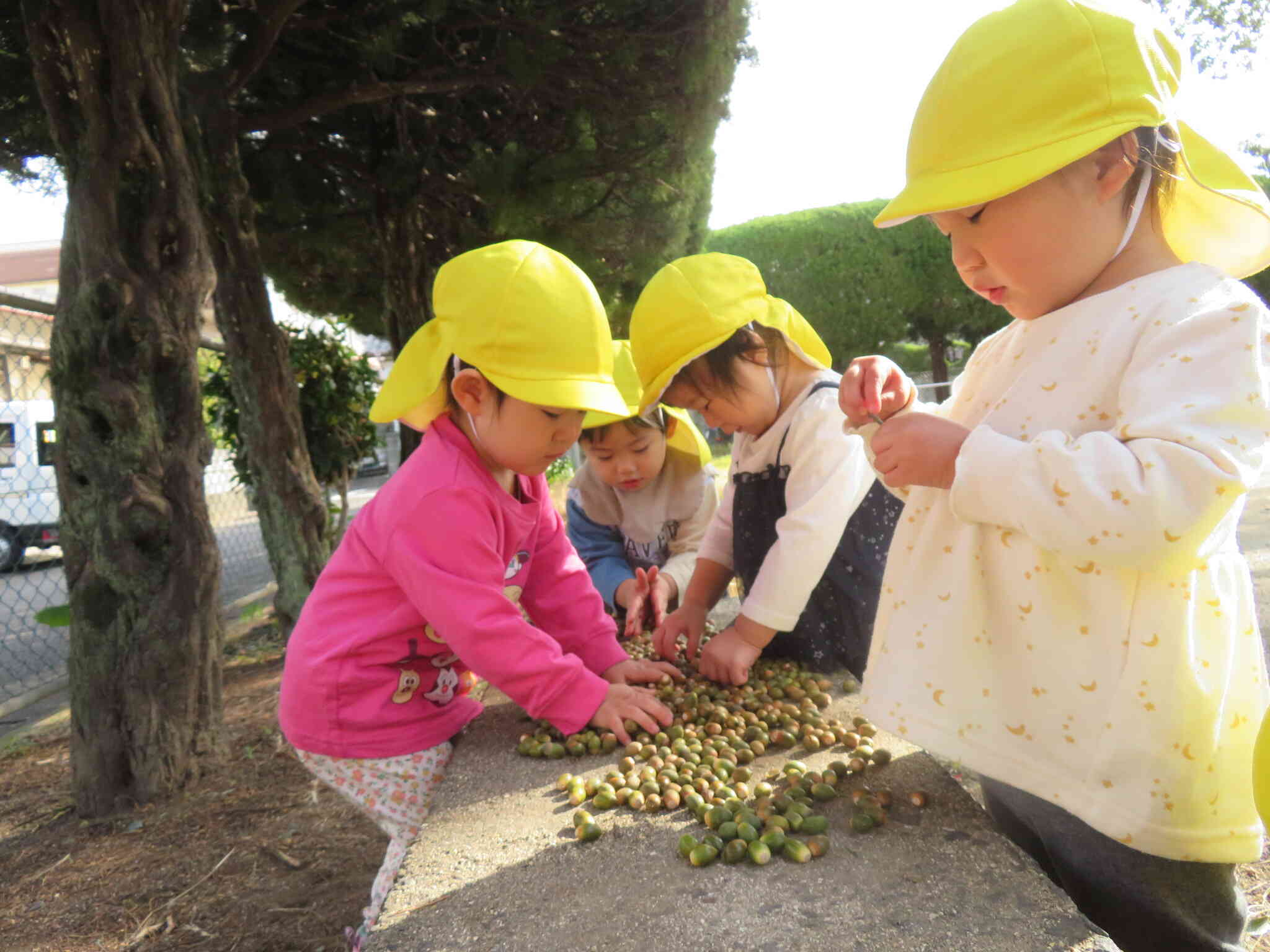 どんぐりマラカスづくり（１歳児）