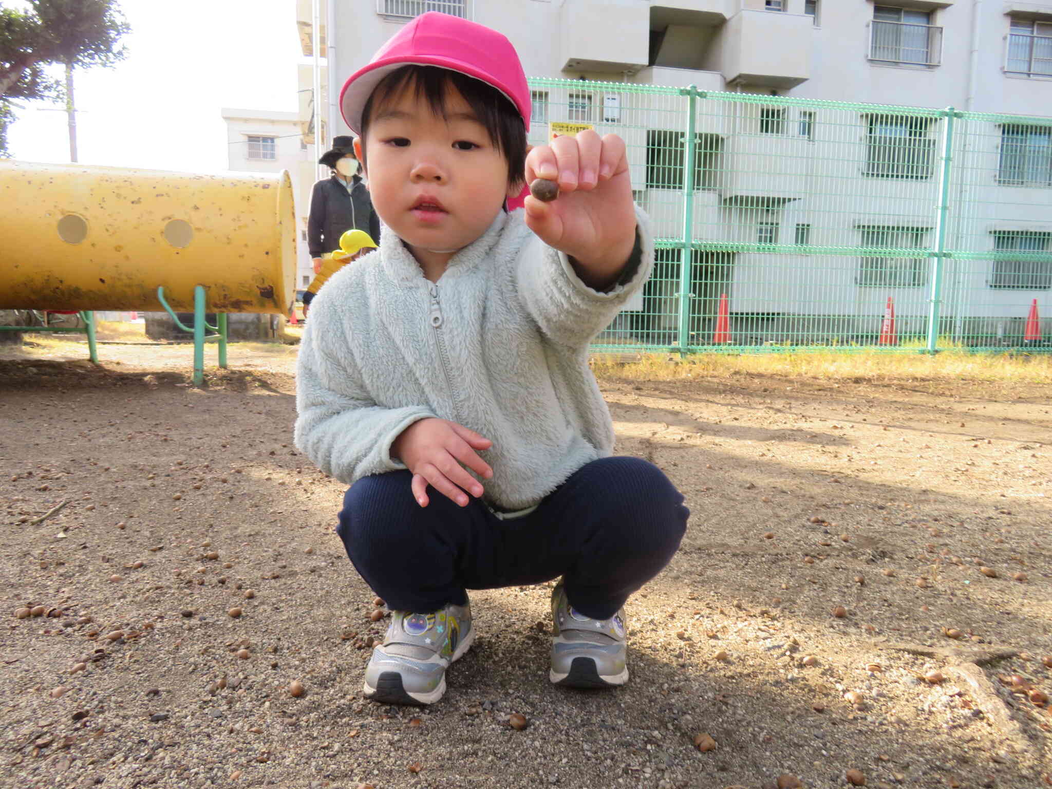 どんぐり見つけたよ！