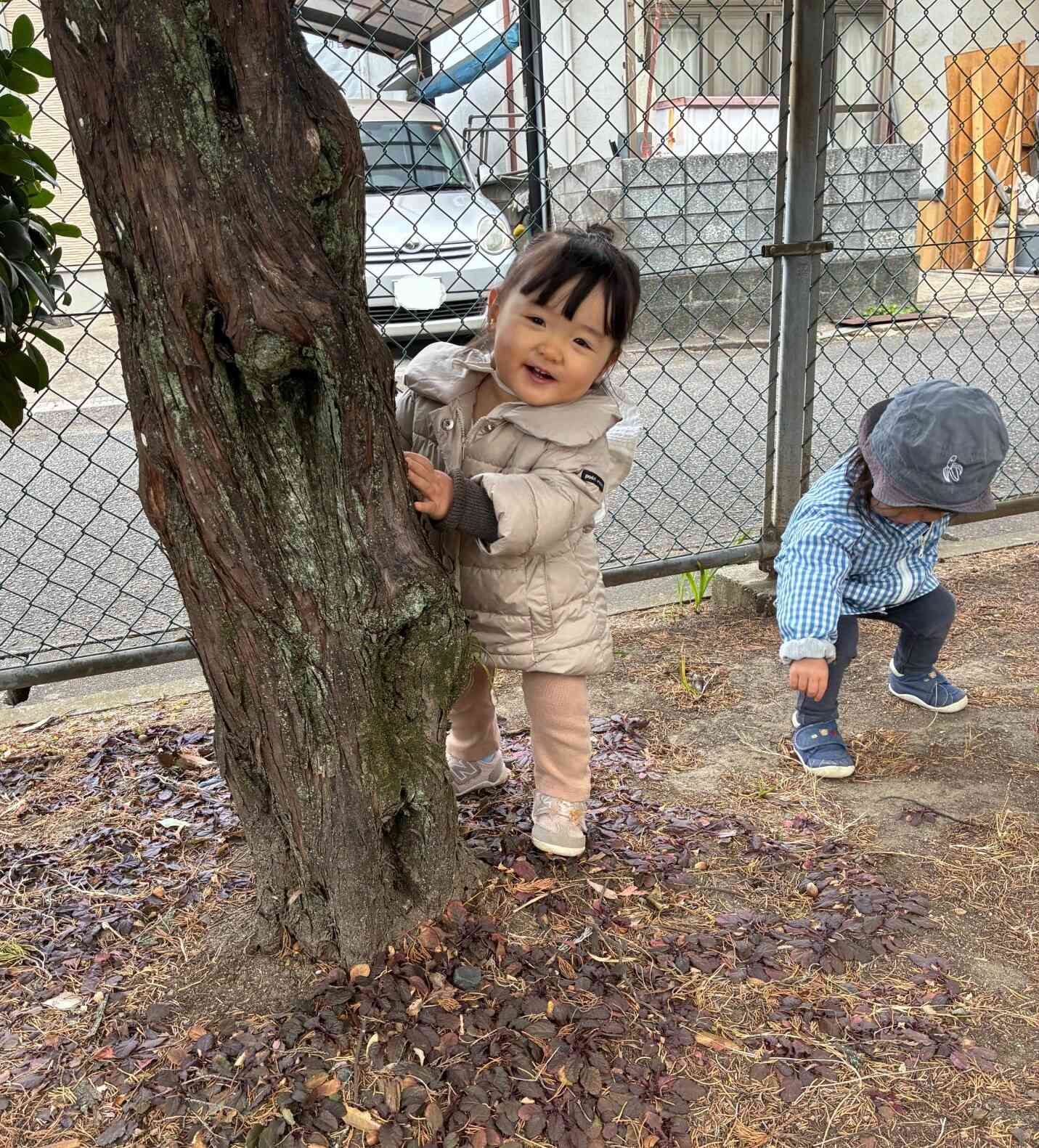 新しいお友だち