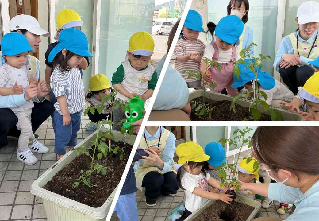 苗を植えよう！
