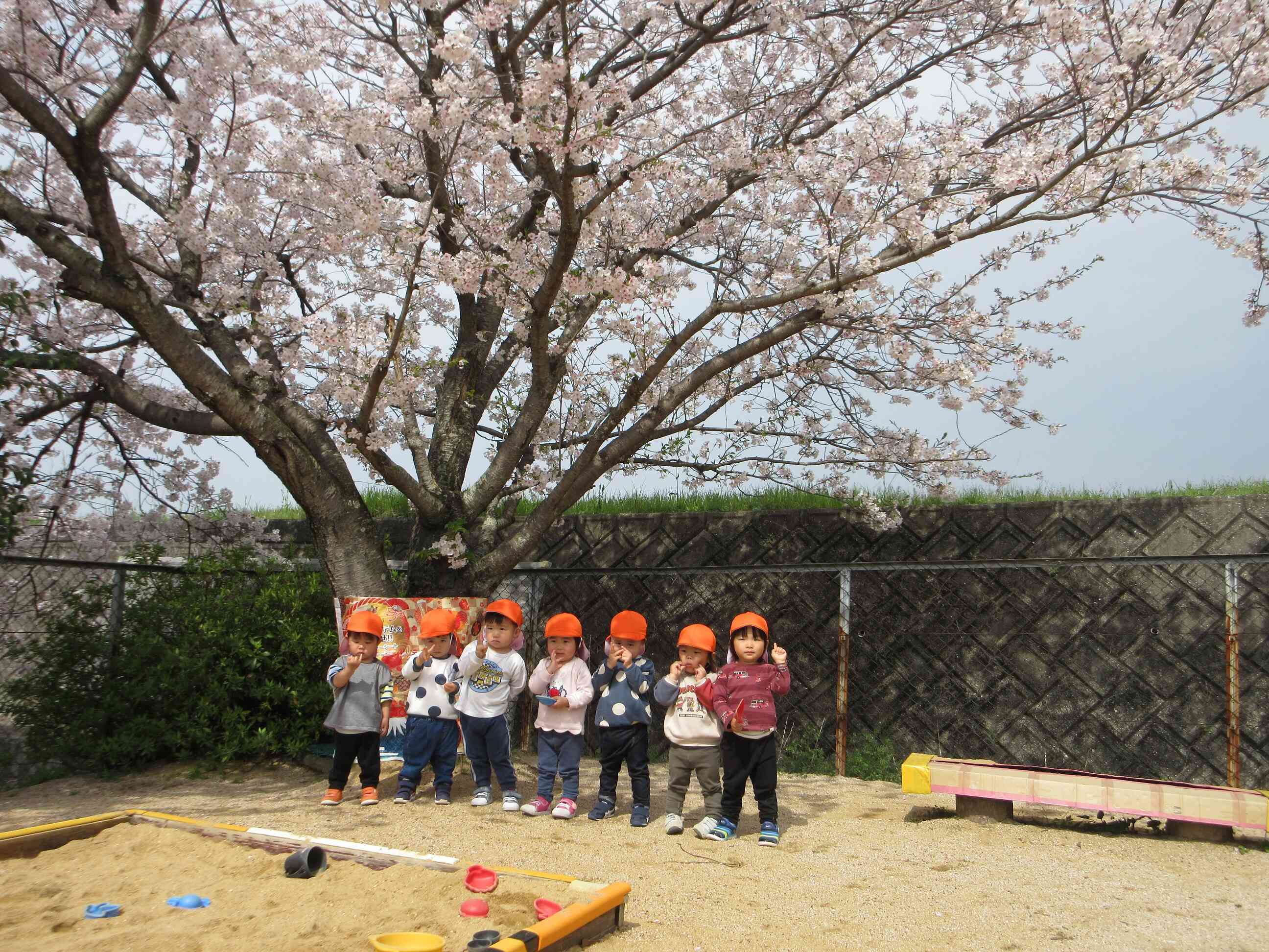 うさぎぐみさん（2歳児）