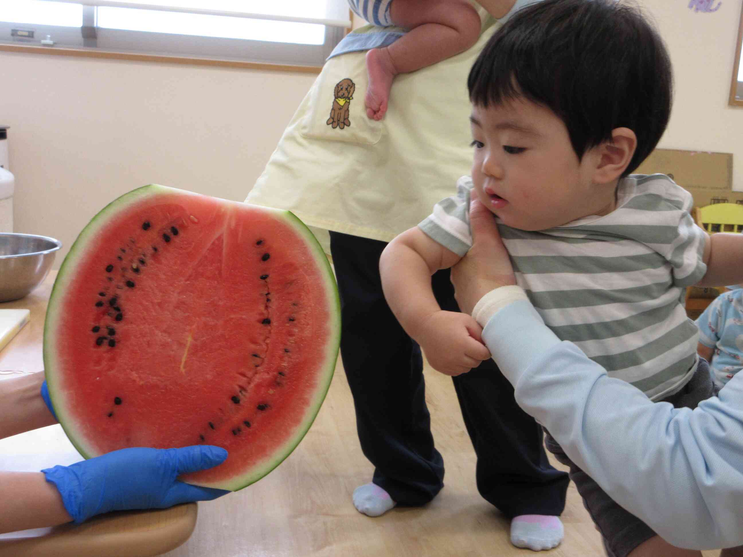 近くで観察