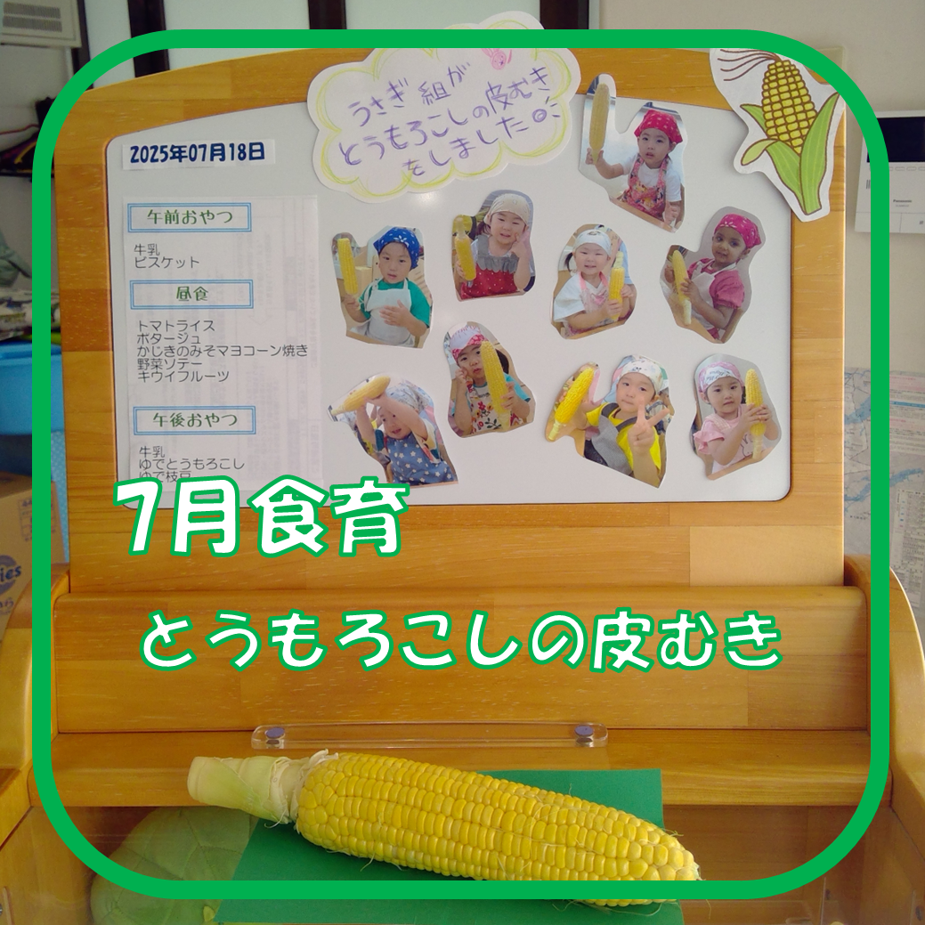 ７月食育　とうもろこしの皮むき