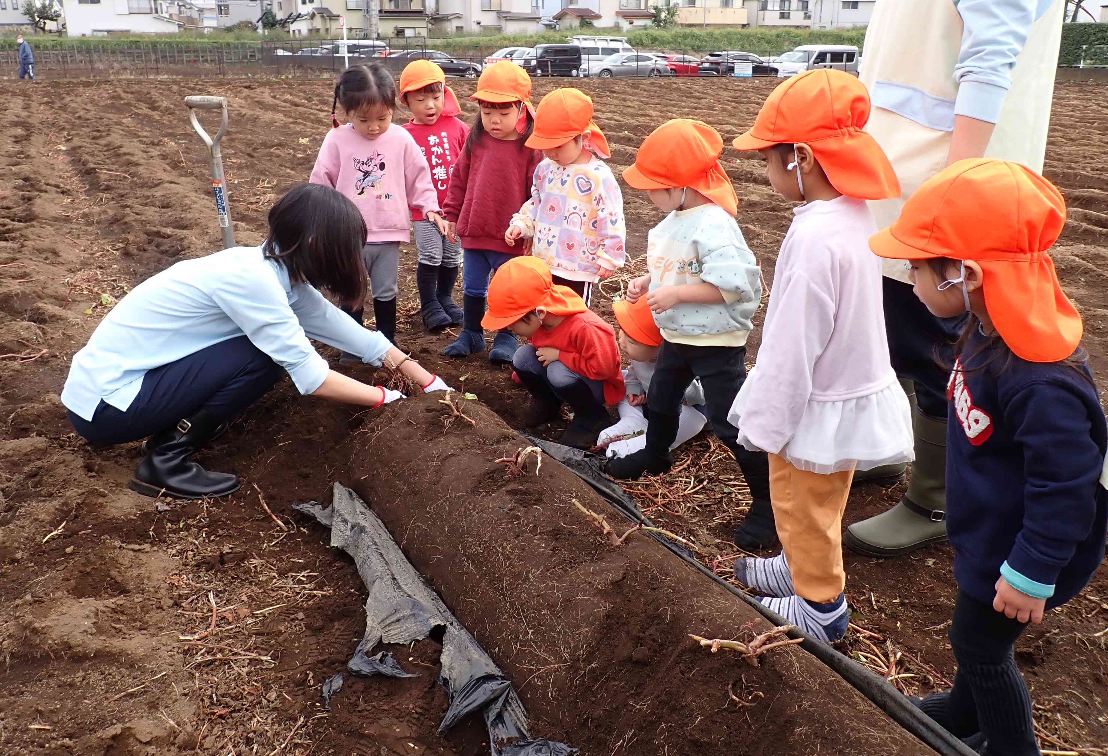 みんなでおいもほりに行ってきました♪