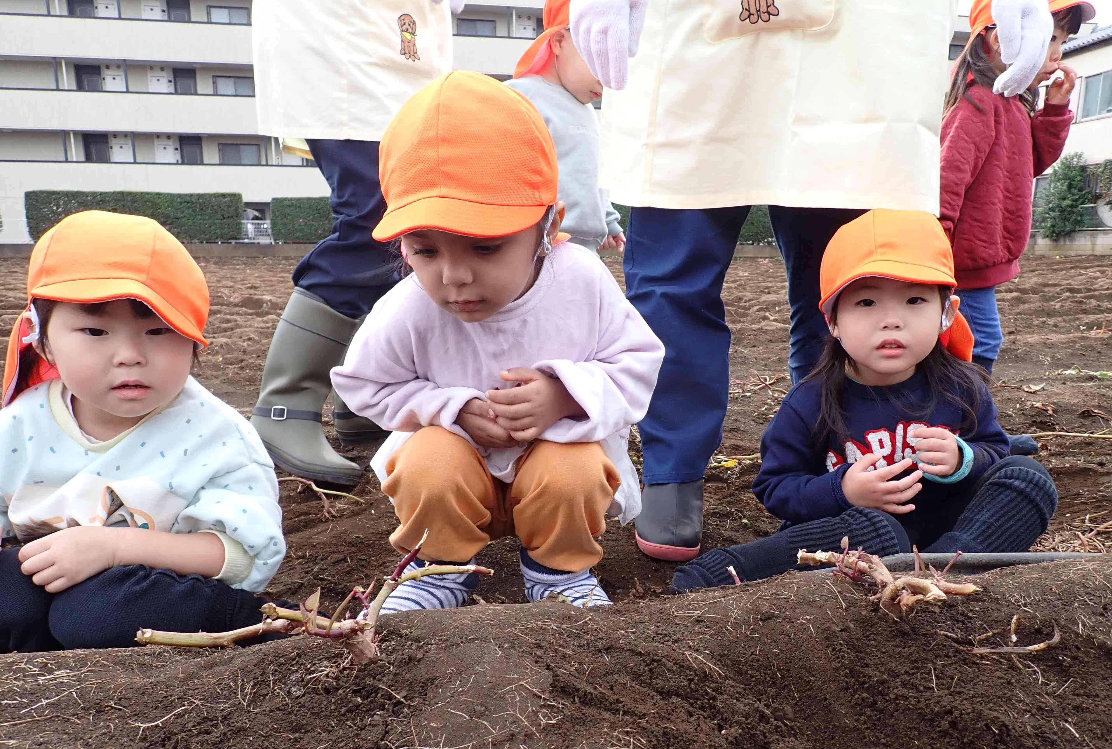 今度は自分で掘ってみよう！！