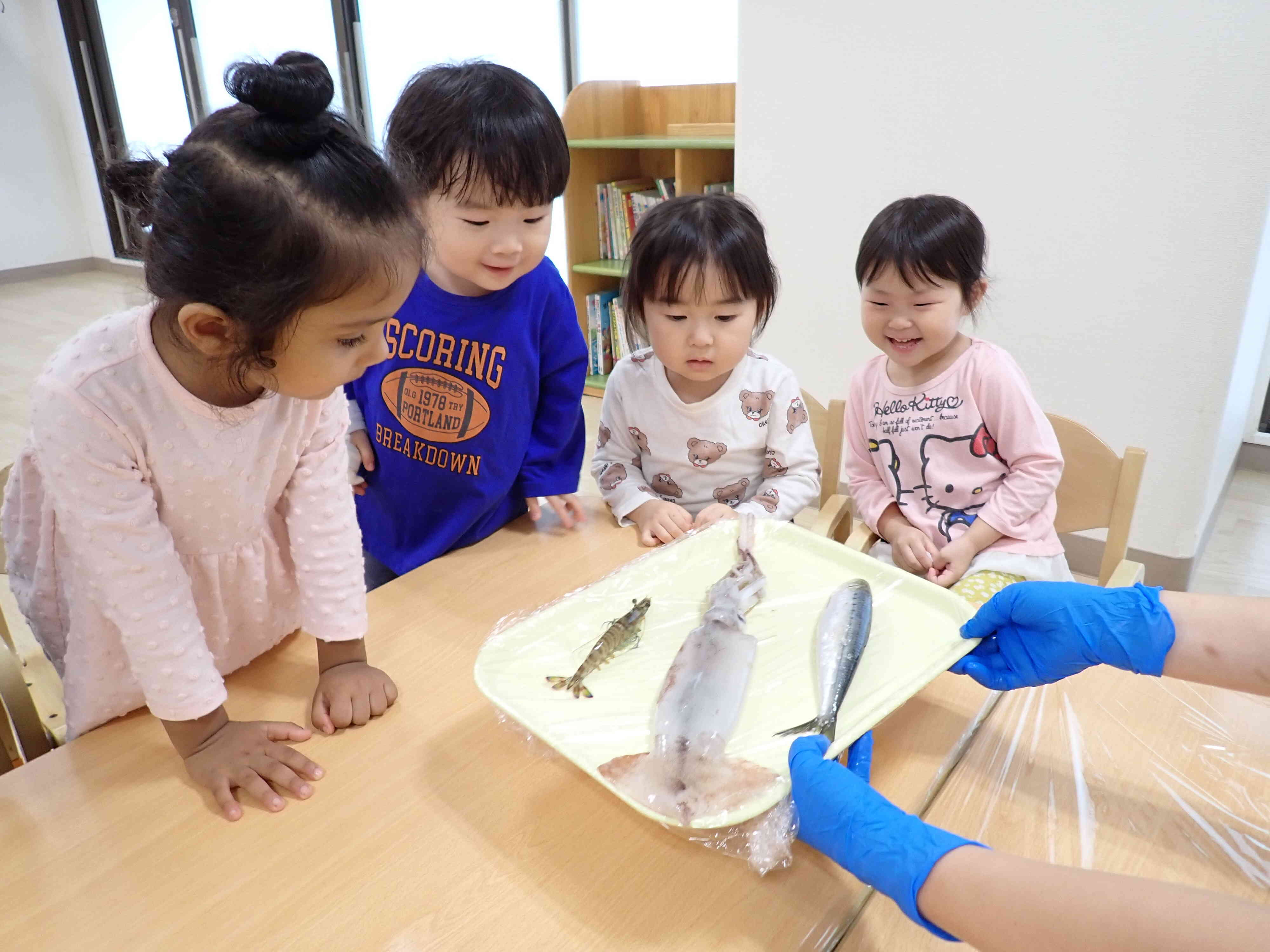 魚のお腹を見てみよう！