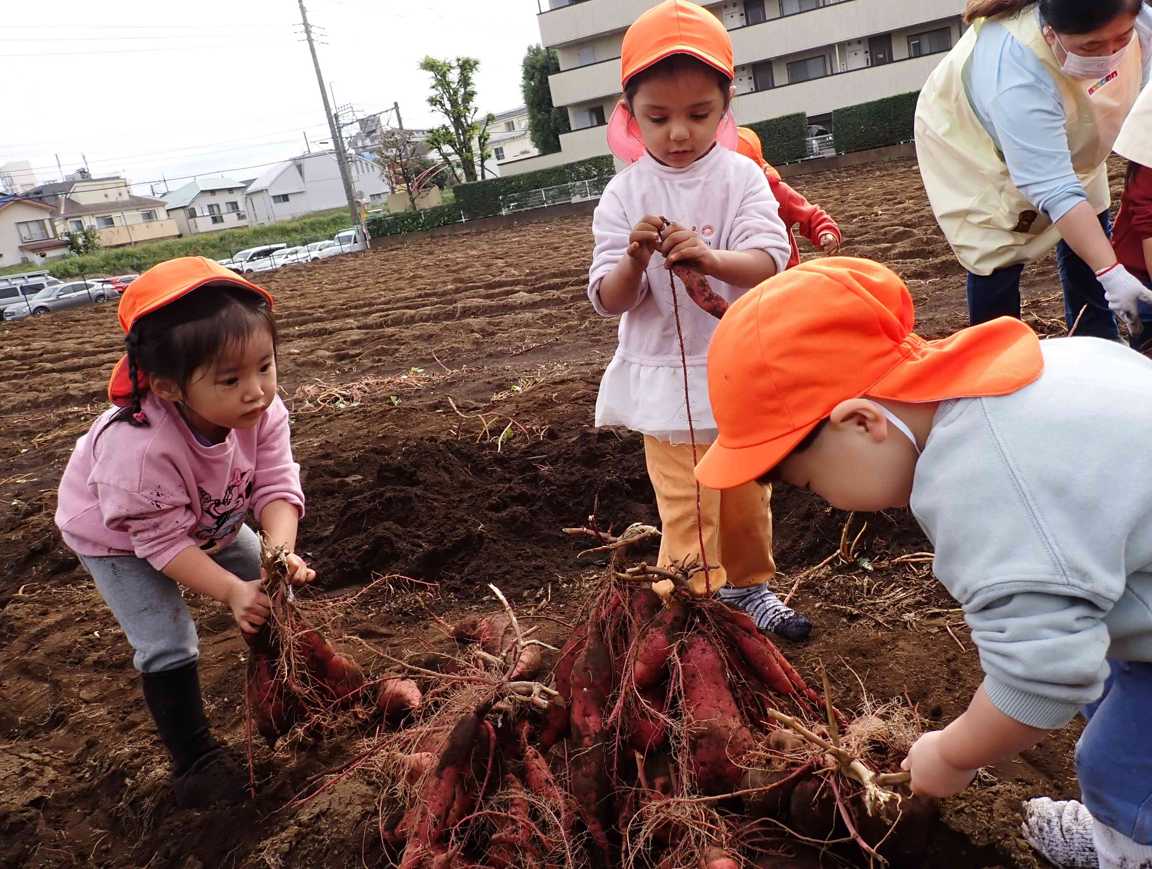 こんなにたくさん♪