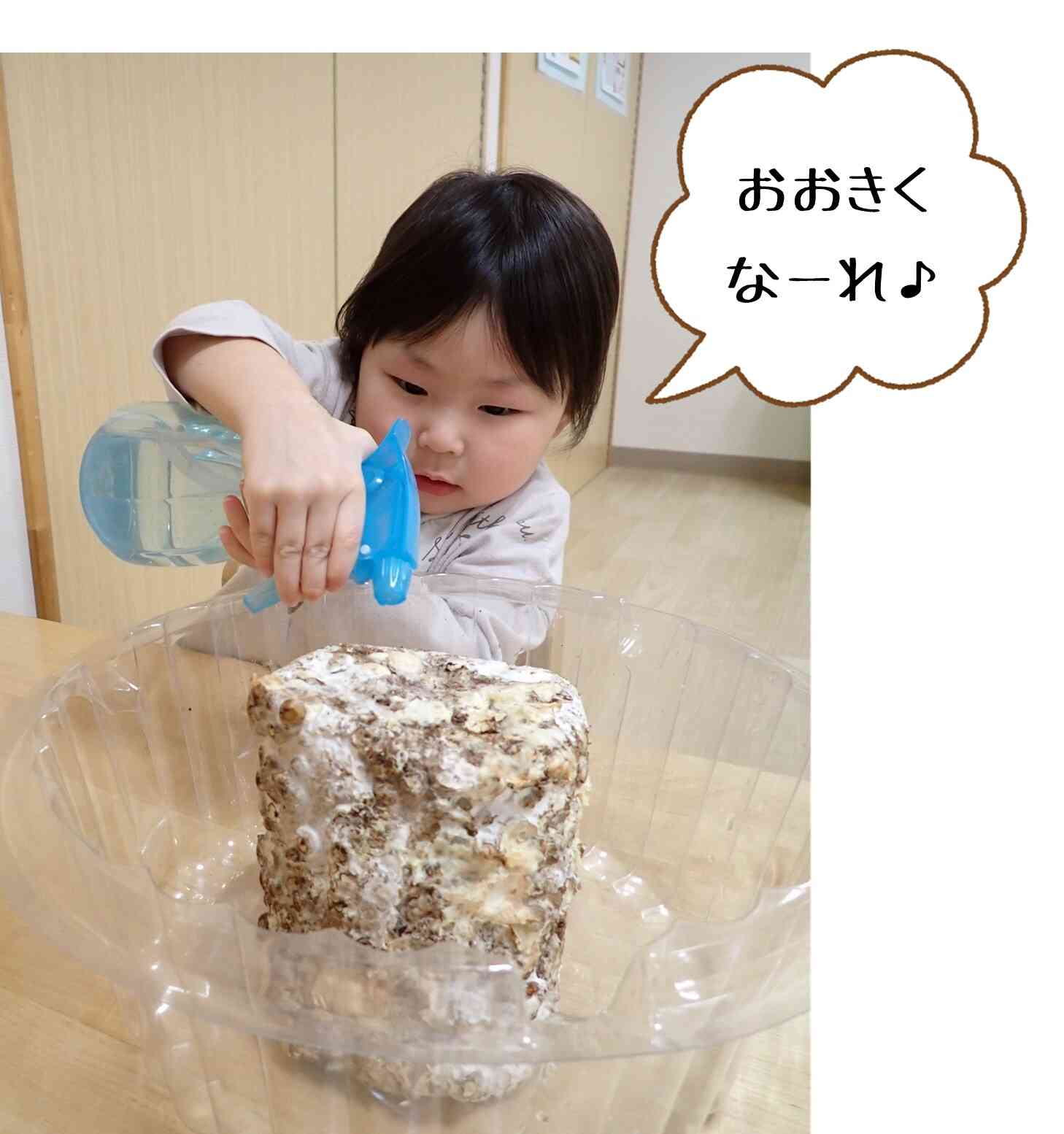 きのこを育てよう！！