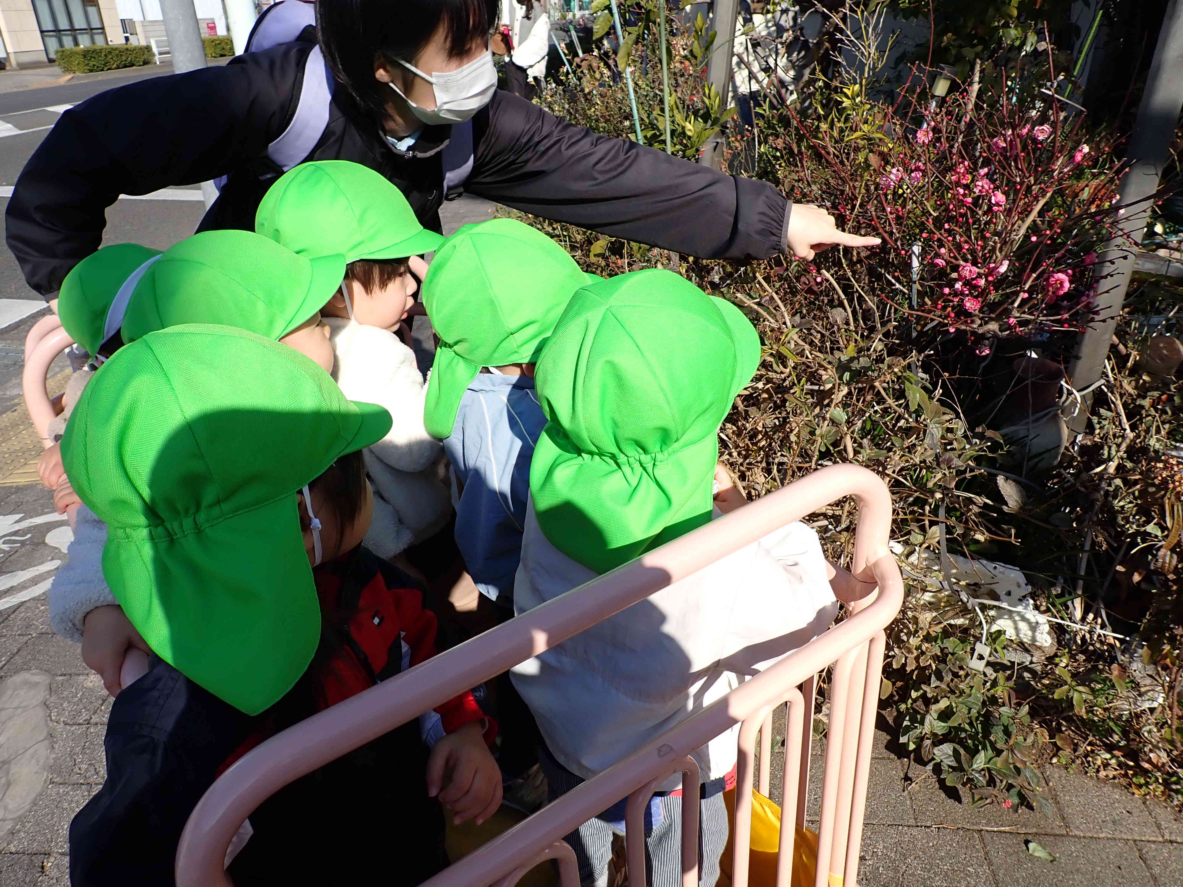 お花咲いてるね