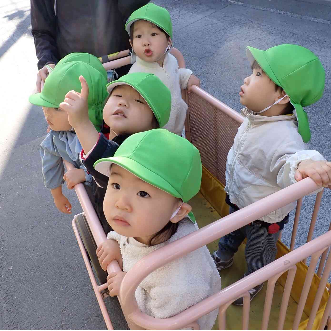 あひる組(1歳児)お散歩