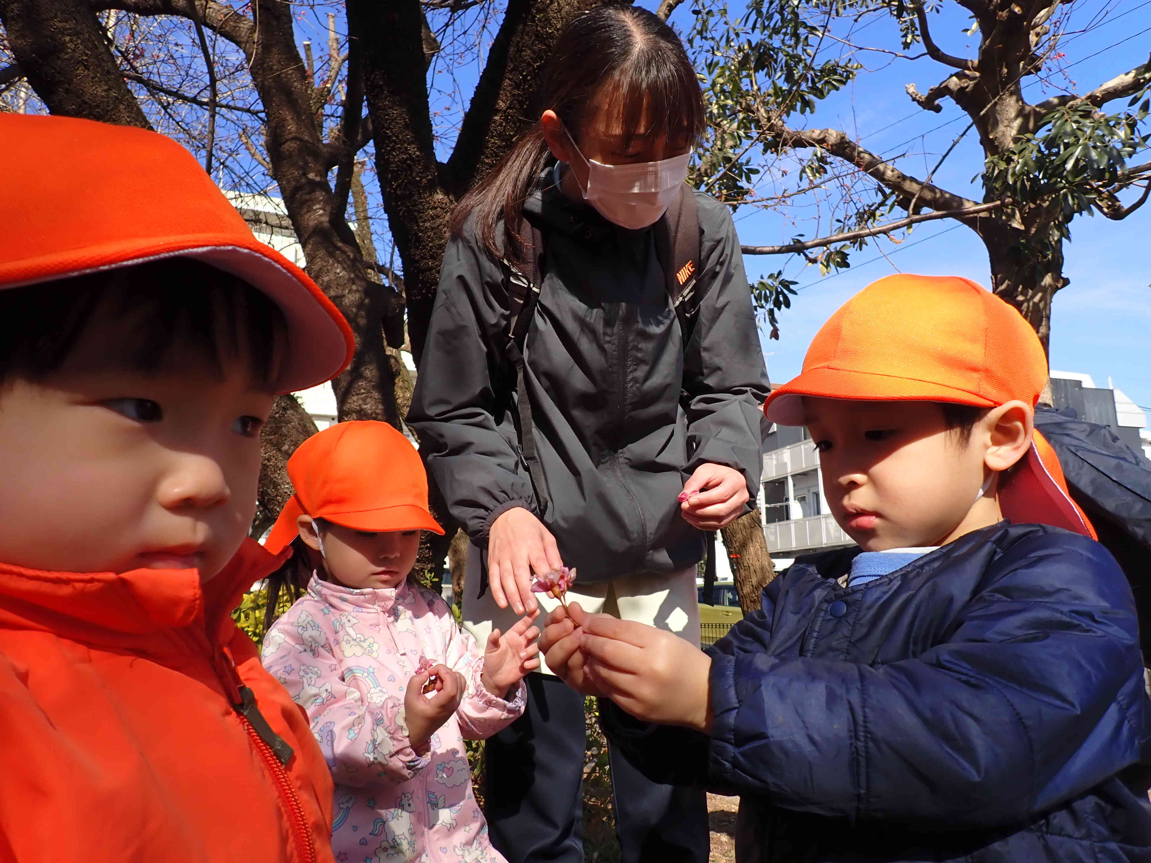 河津桜見つけた！！