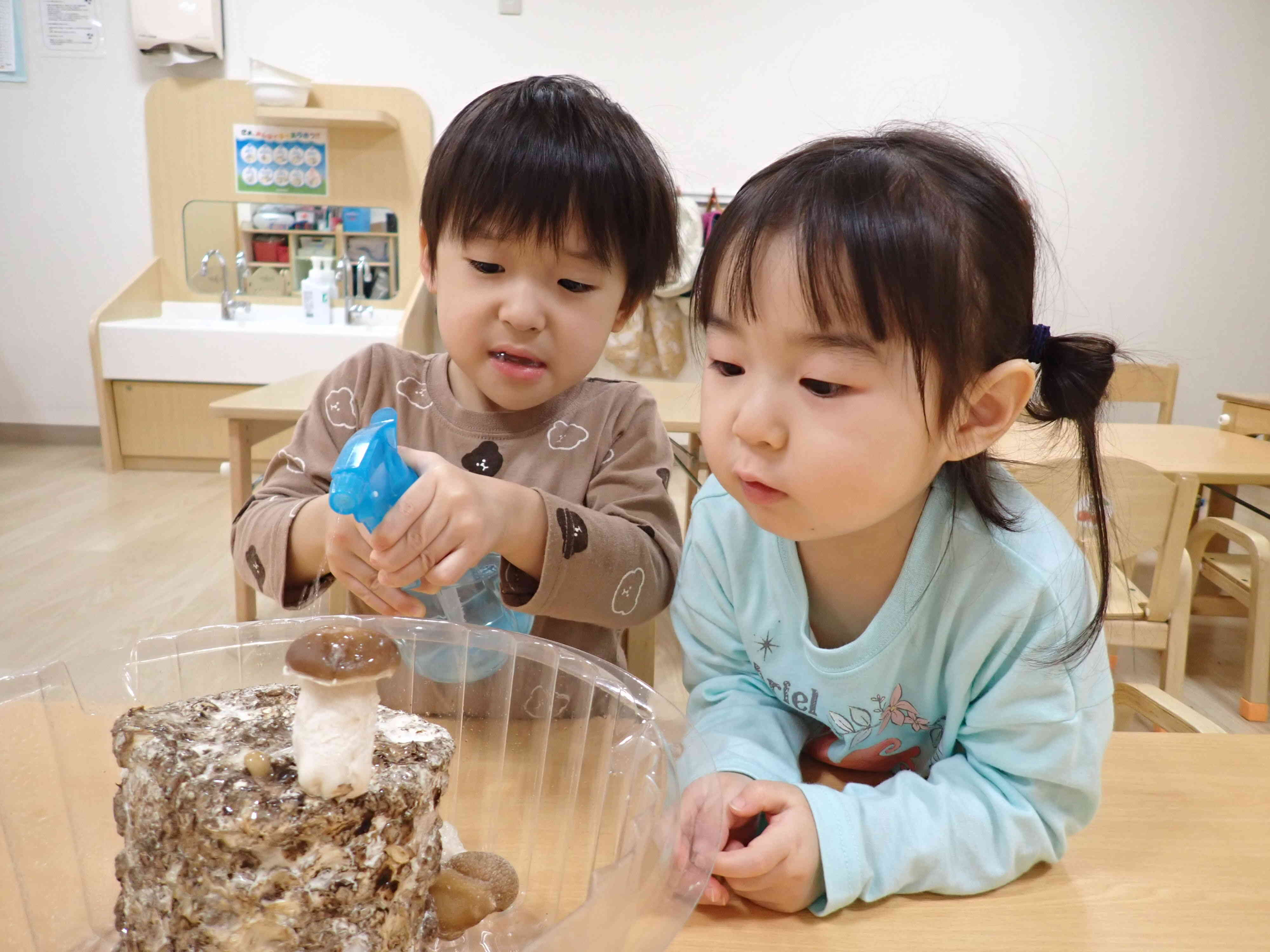 大きくなったよ！