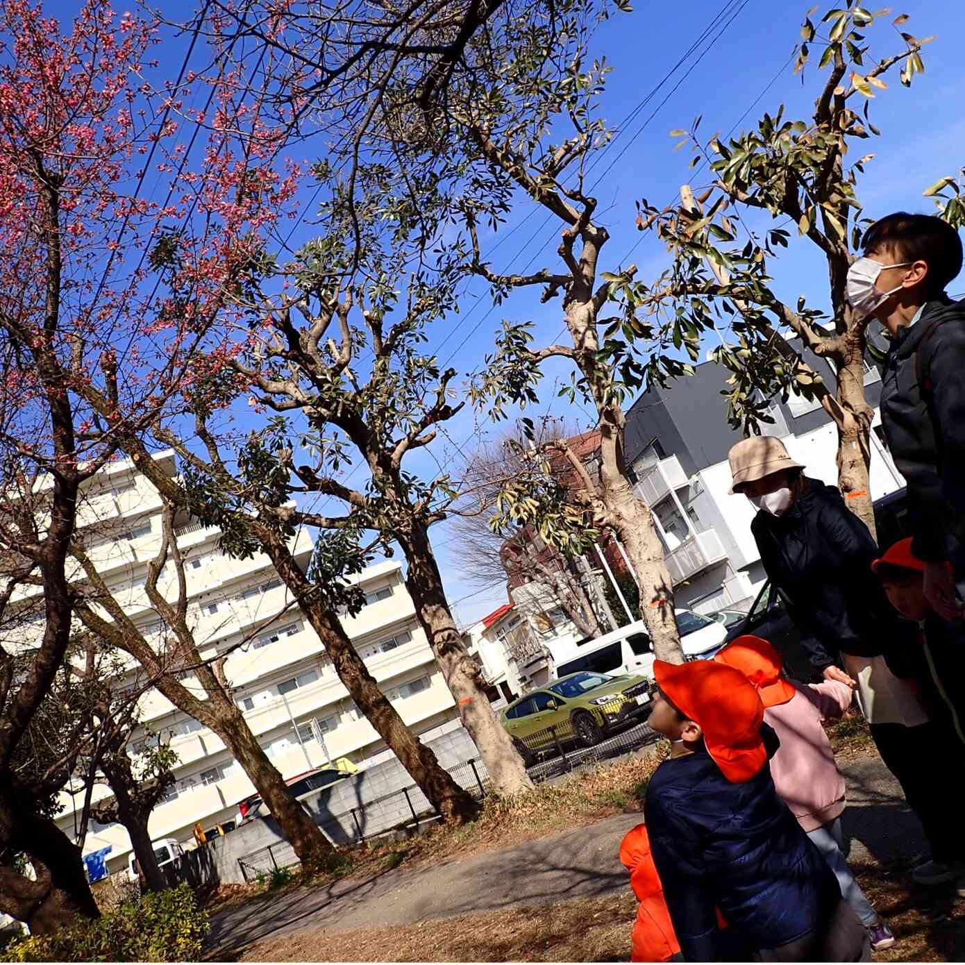 遊歩道へお散歩に行ってきたよ♪（2歳児／うさぎ組）