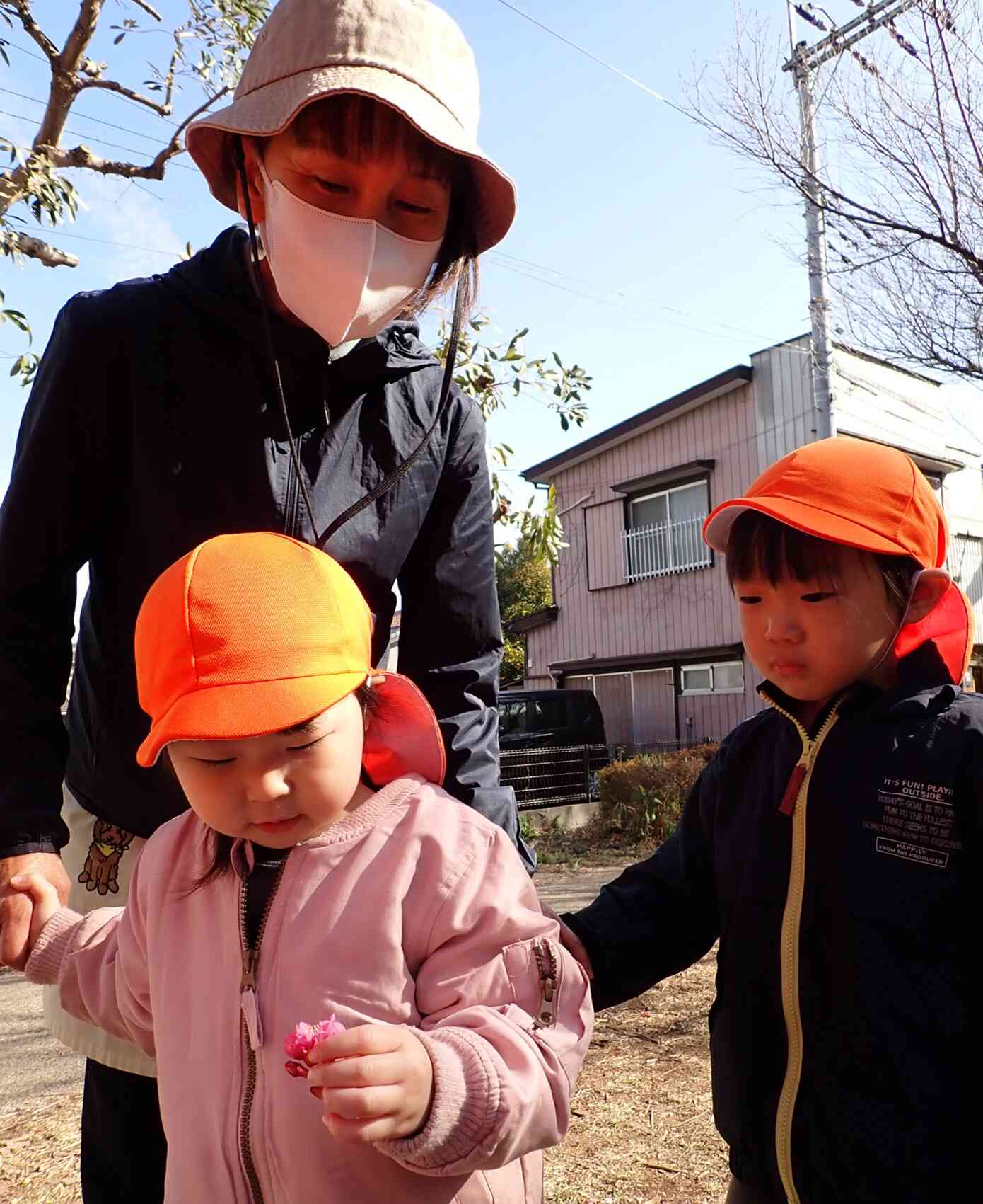 みてー！ピンクのお花