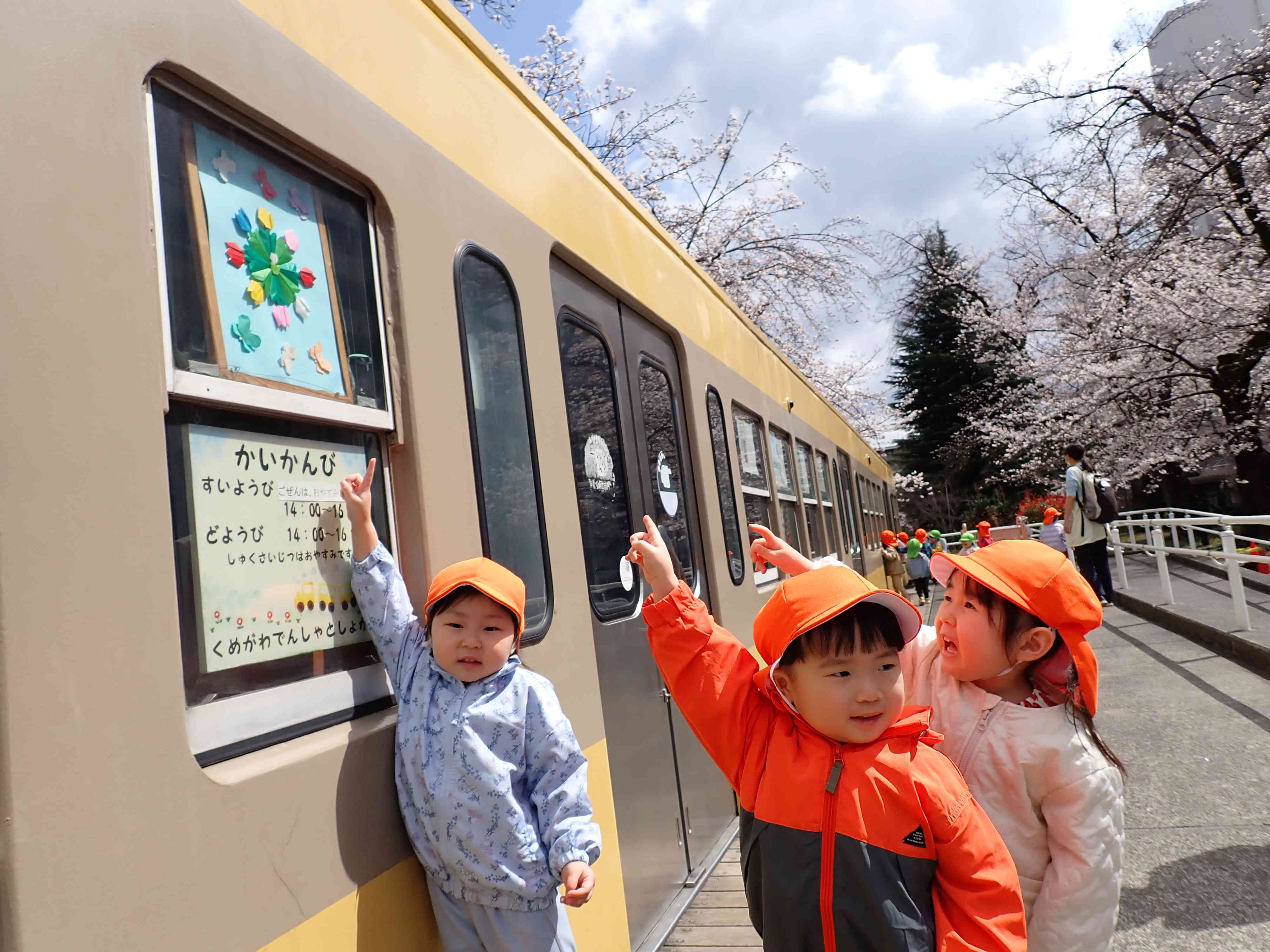 チューリップになってる！