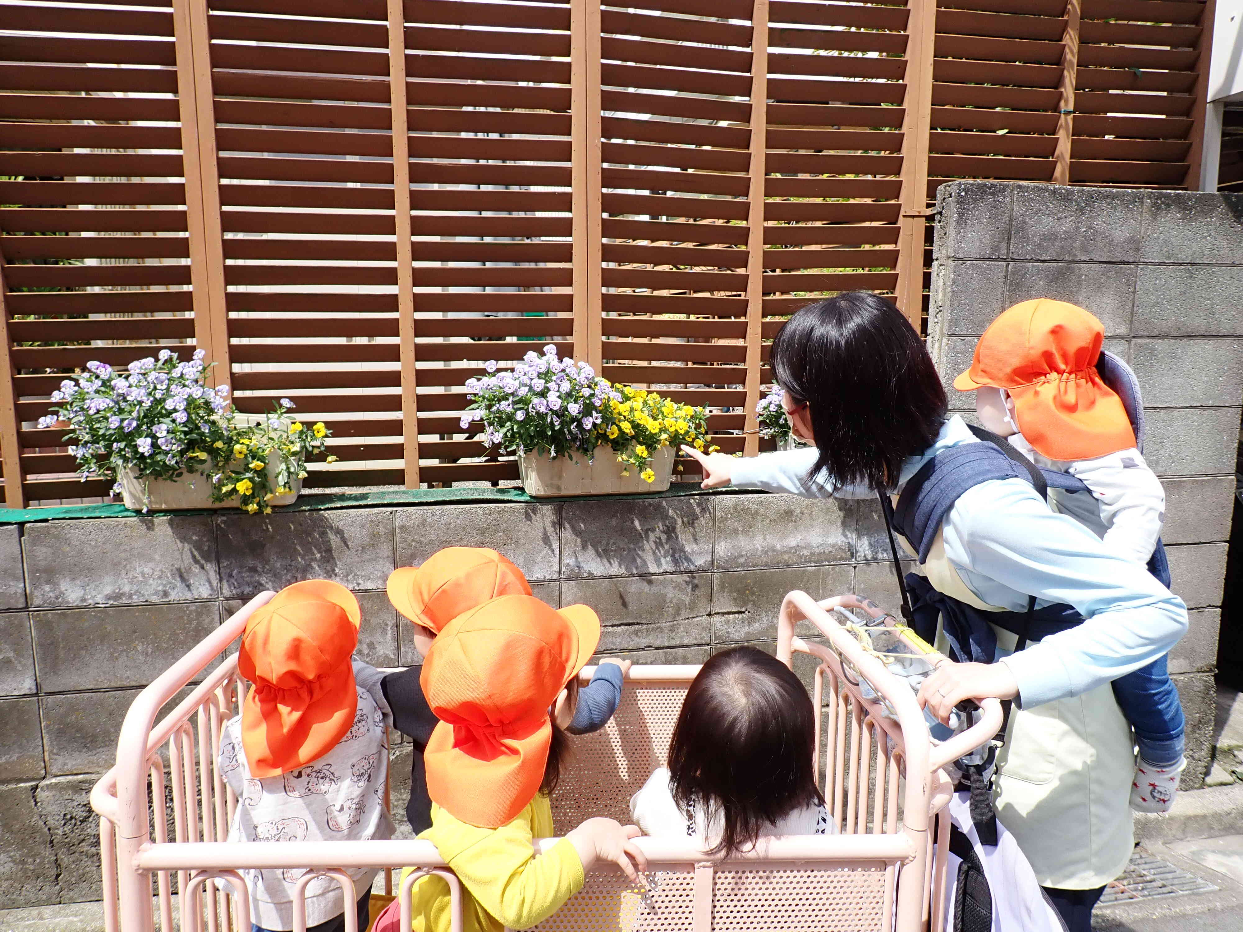 ここにもお花があったよ。