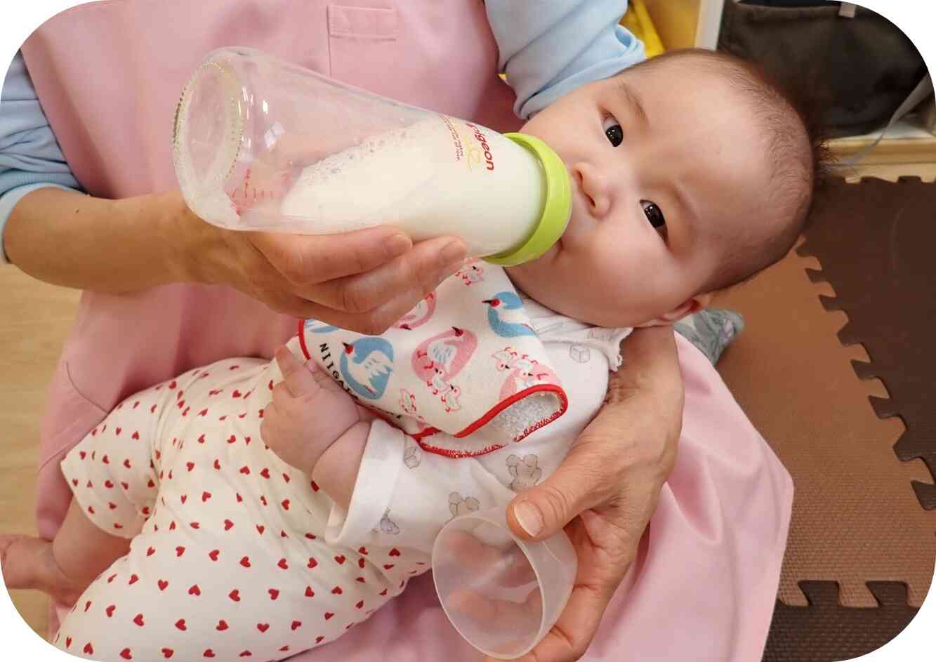 ミルクを飲むのがとっても上手です。