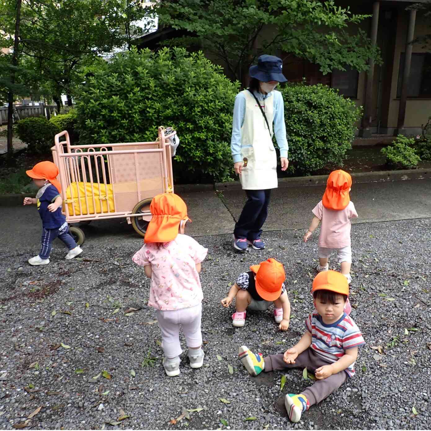 雨上がりにお散歩に行ったよ(1歳児 あひる組)