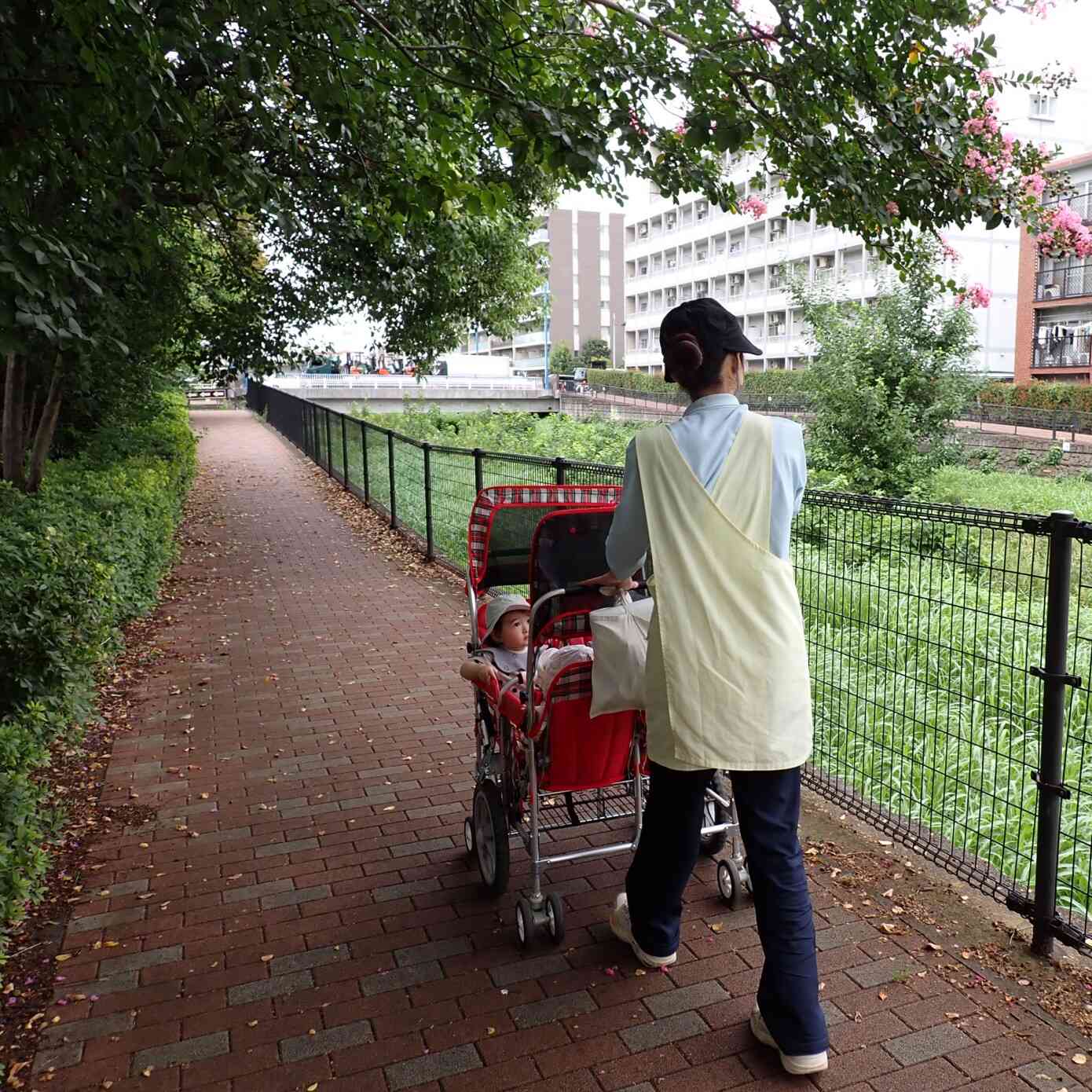 涼しい日はお散歩へ♬(0歳児ひよこ組)