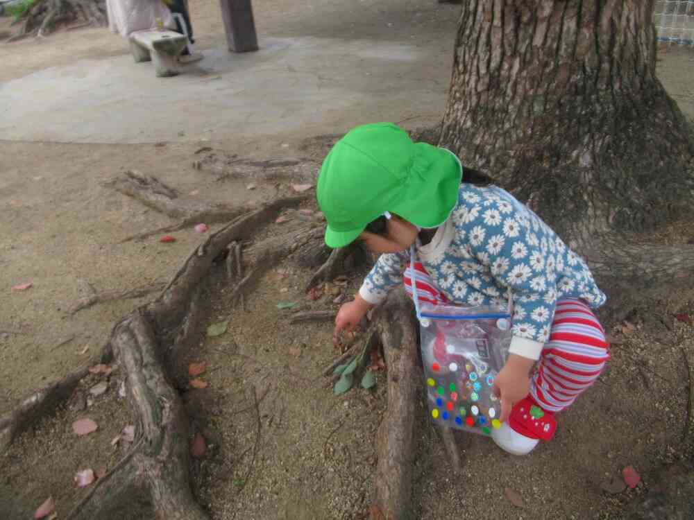 葉っぱみーつけた！バッグにいーれよっと