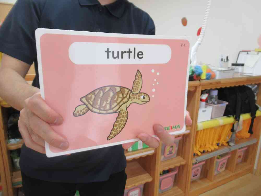 HELLO‼英語の時間だよ