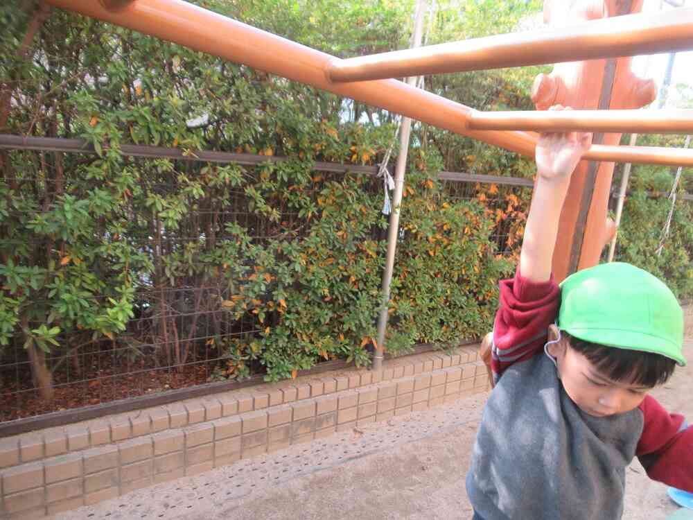 こんなことだってできるもん！