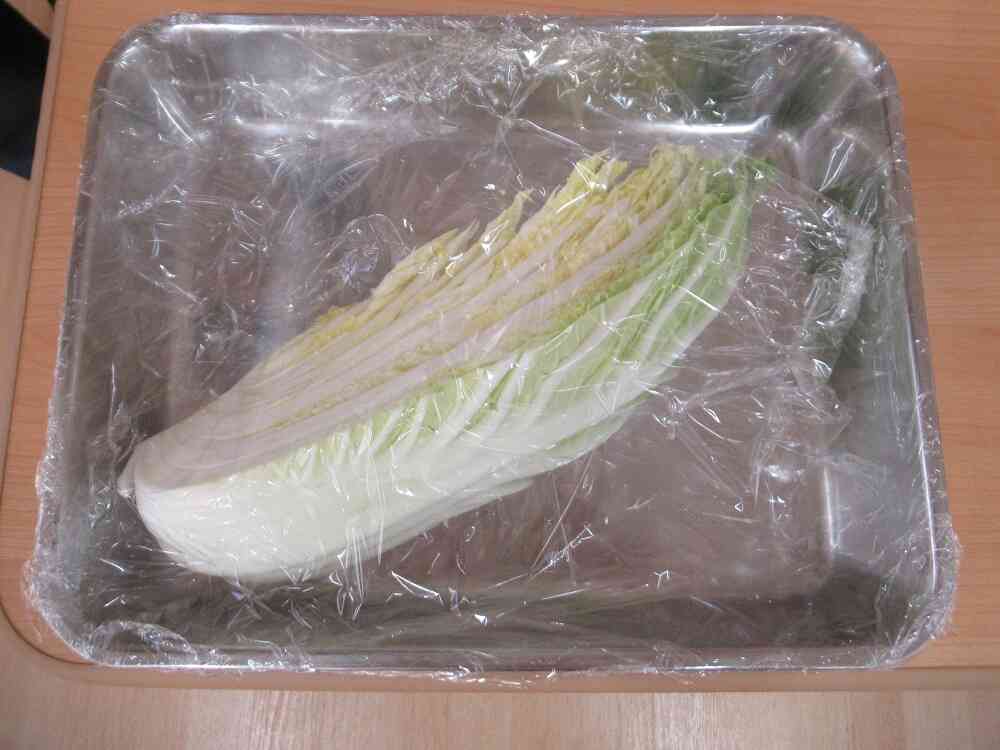 1月の食育『白菜に触れよう』