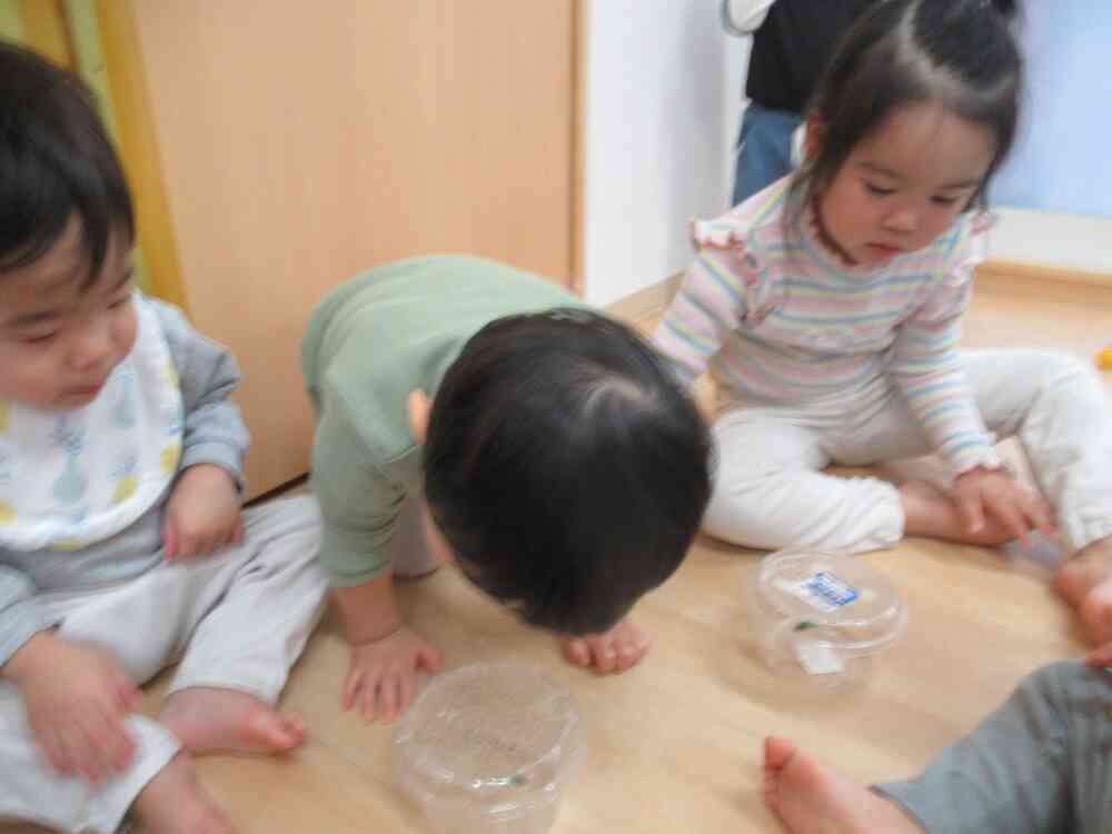 じっくりかんさつ