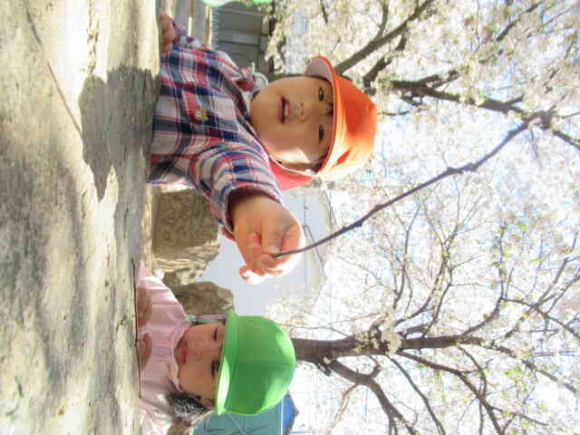 じゃじゃーん！