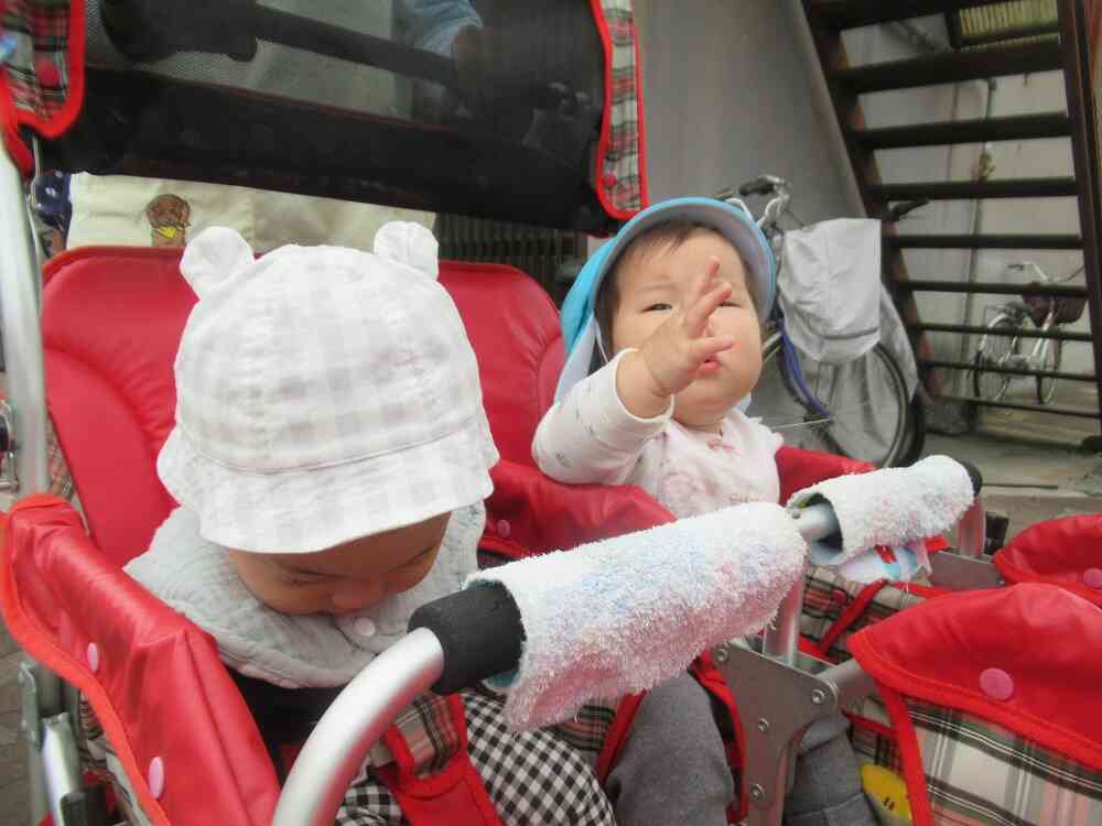 ひよこ組のお散歩