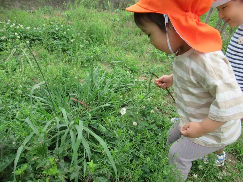 うさぎぐみの虫探し☆