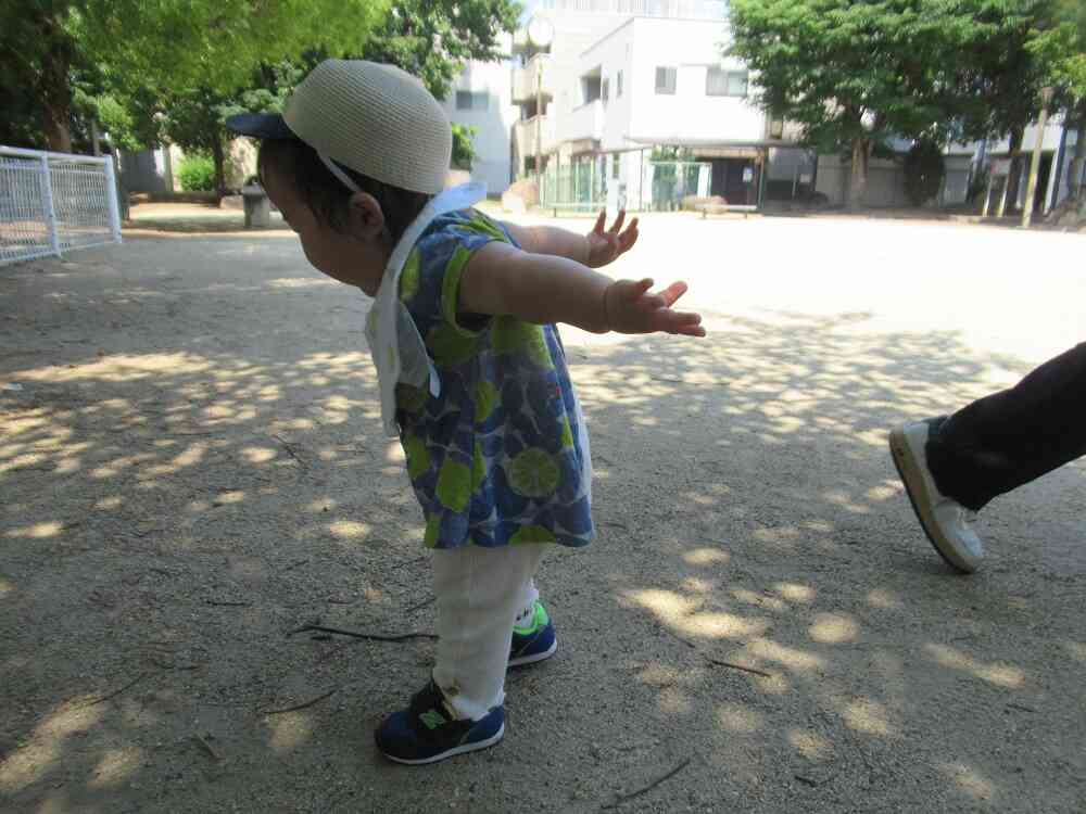 パタパタ