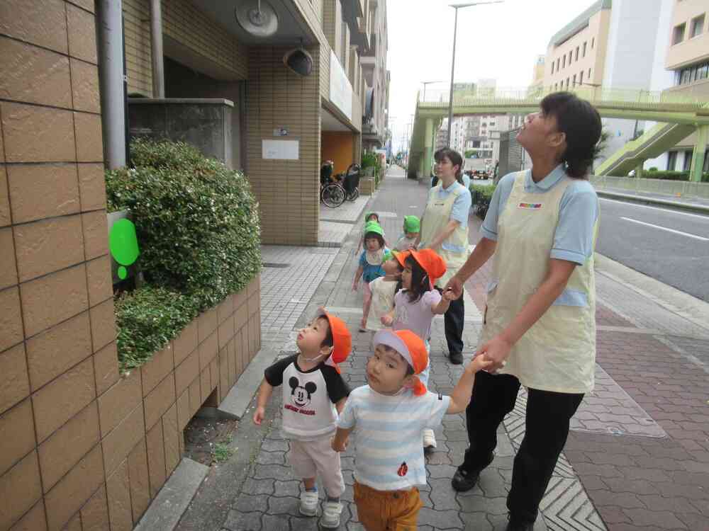 久しぶりの散歩