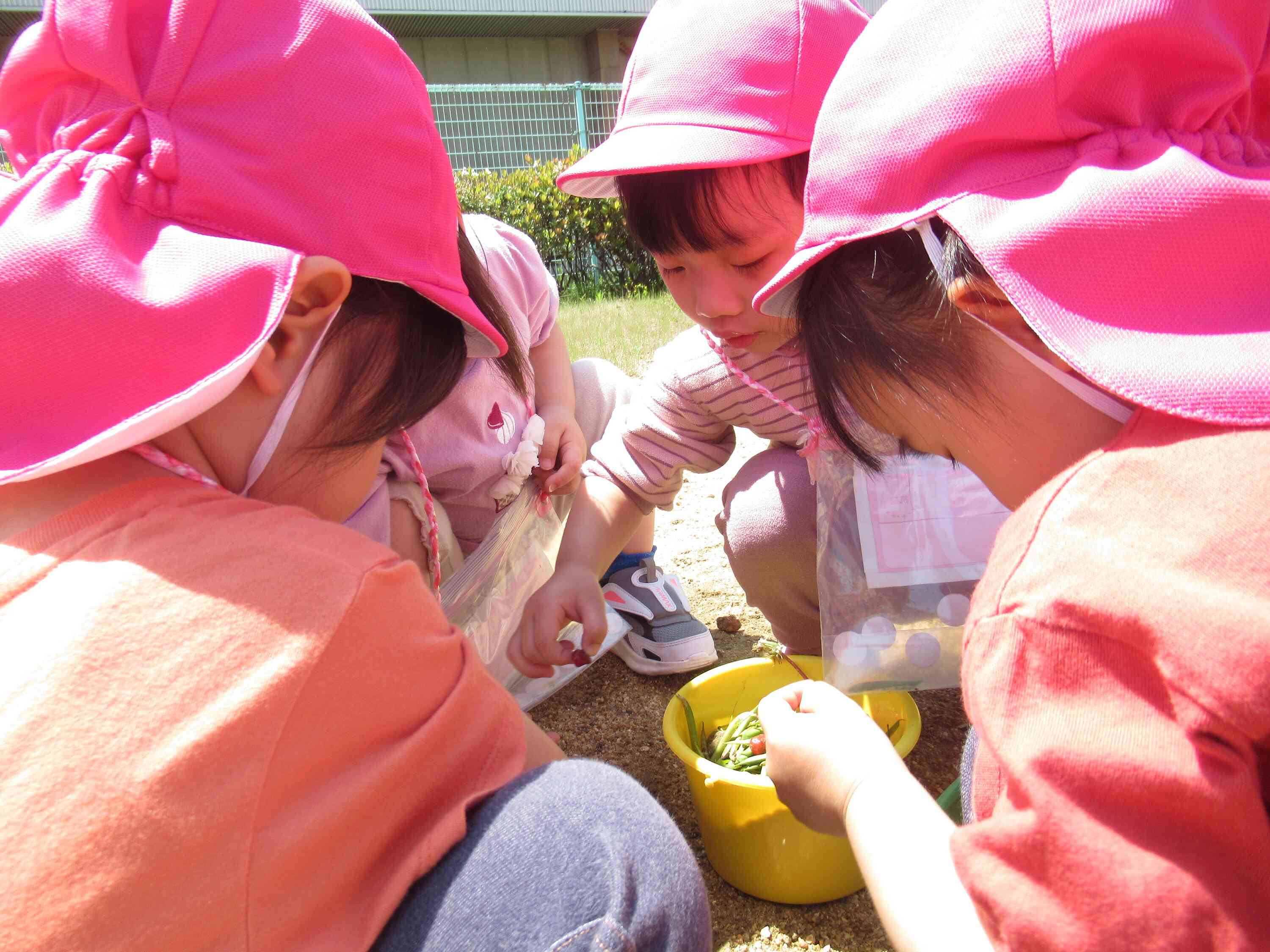 美味しいのが出来るかな?