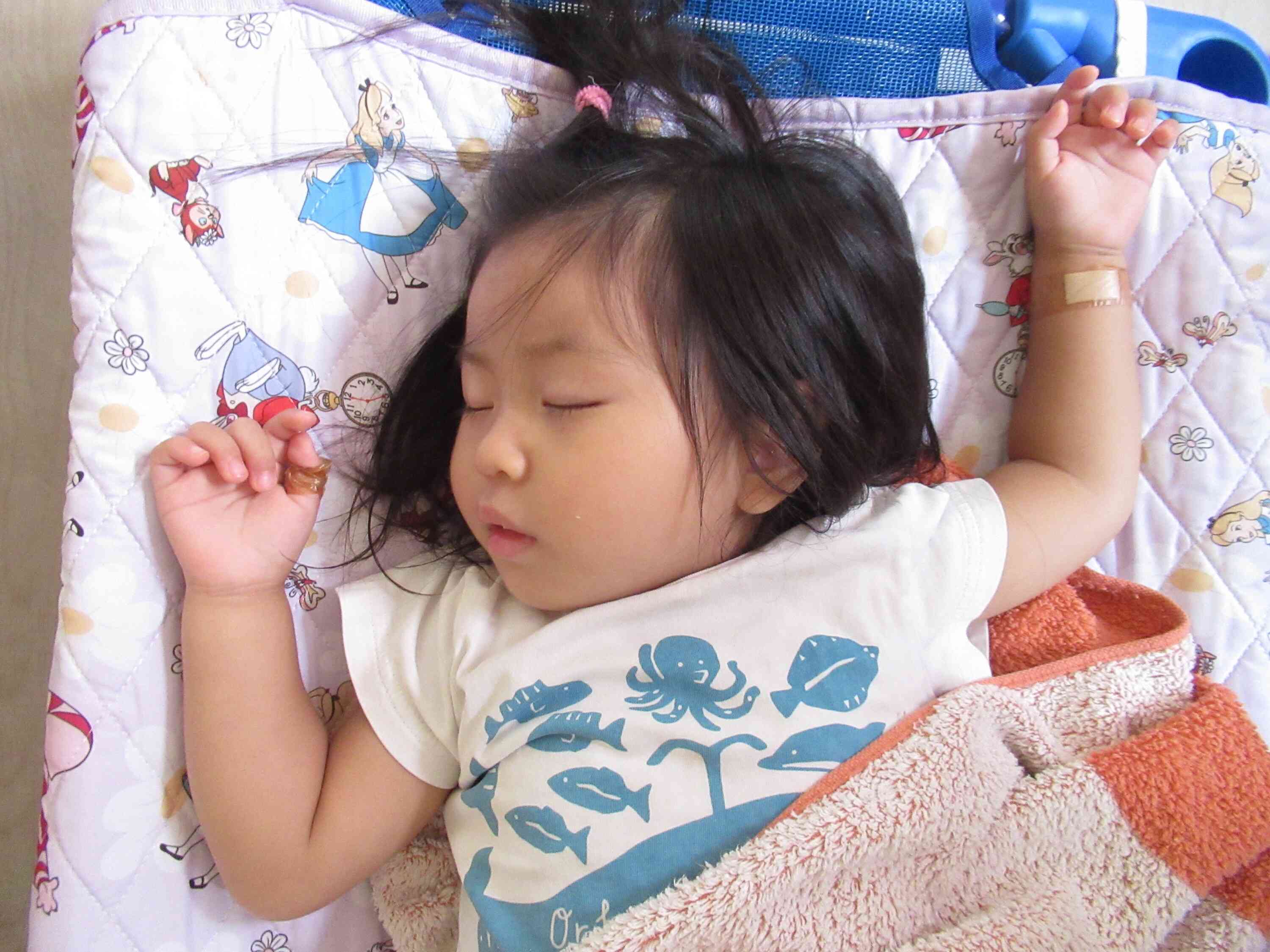 お昼寝～zzz