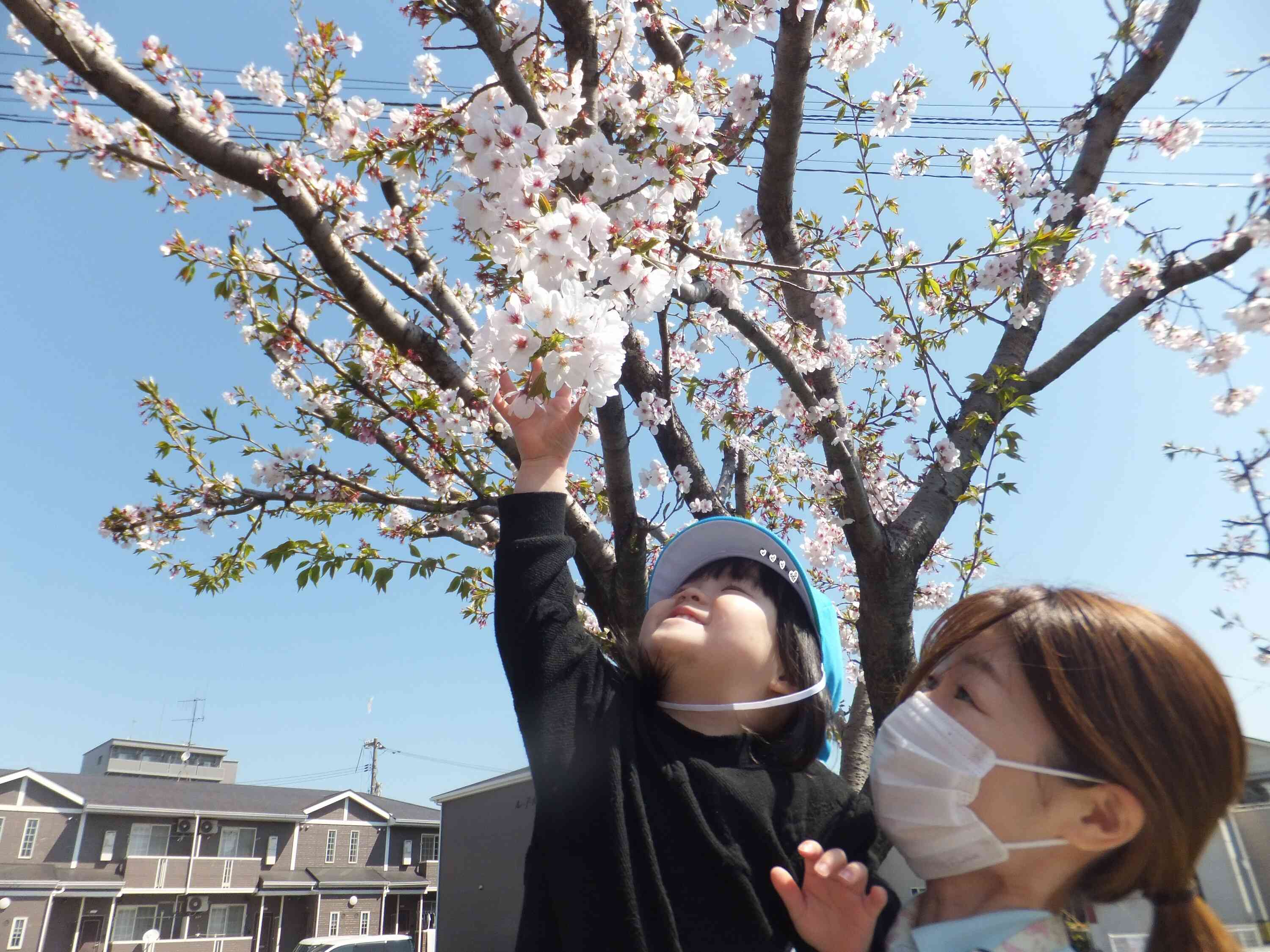 桜の木の下で記念撮影しました♡