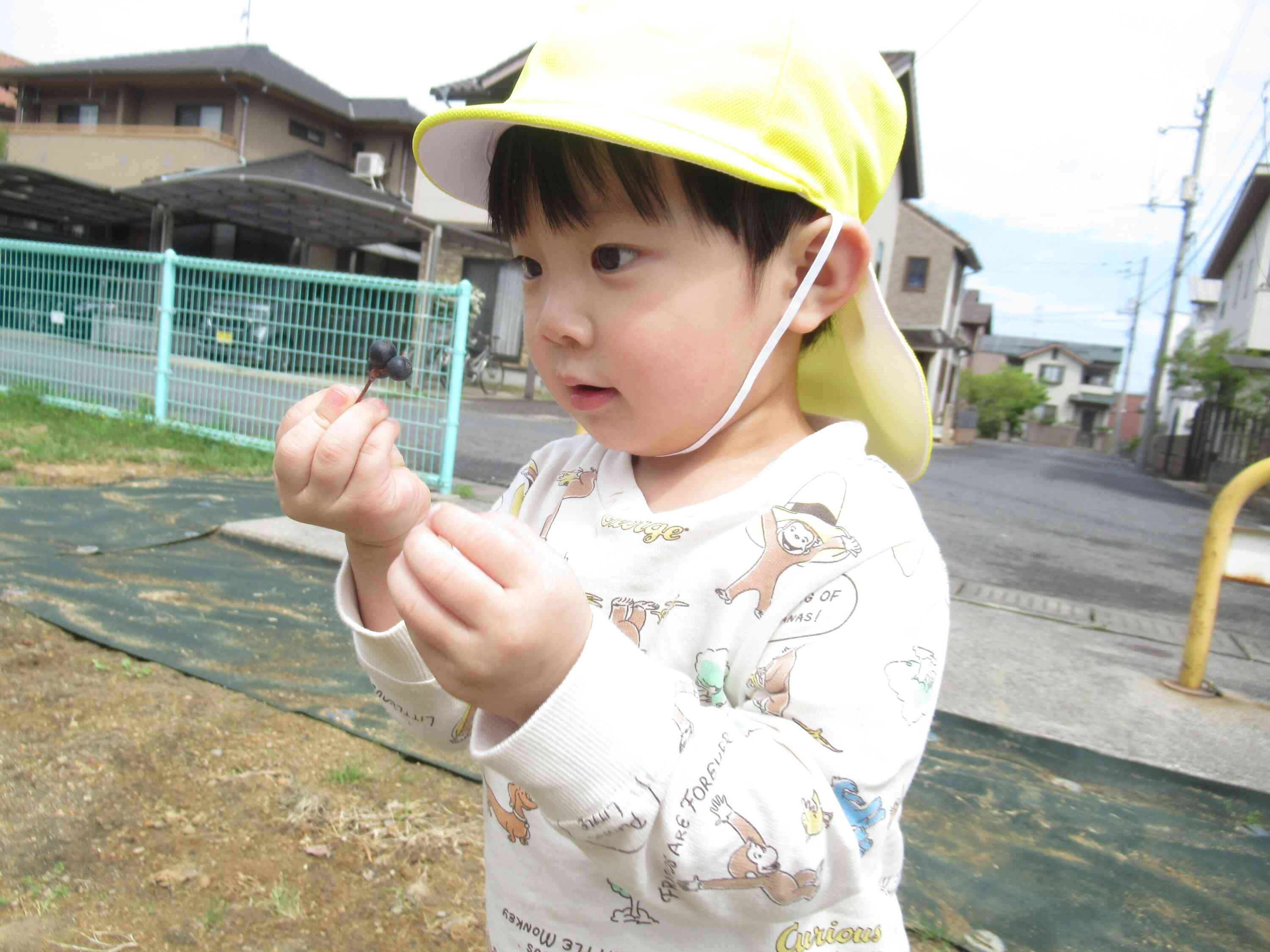 これは何かな？