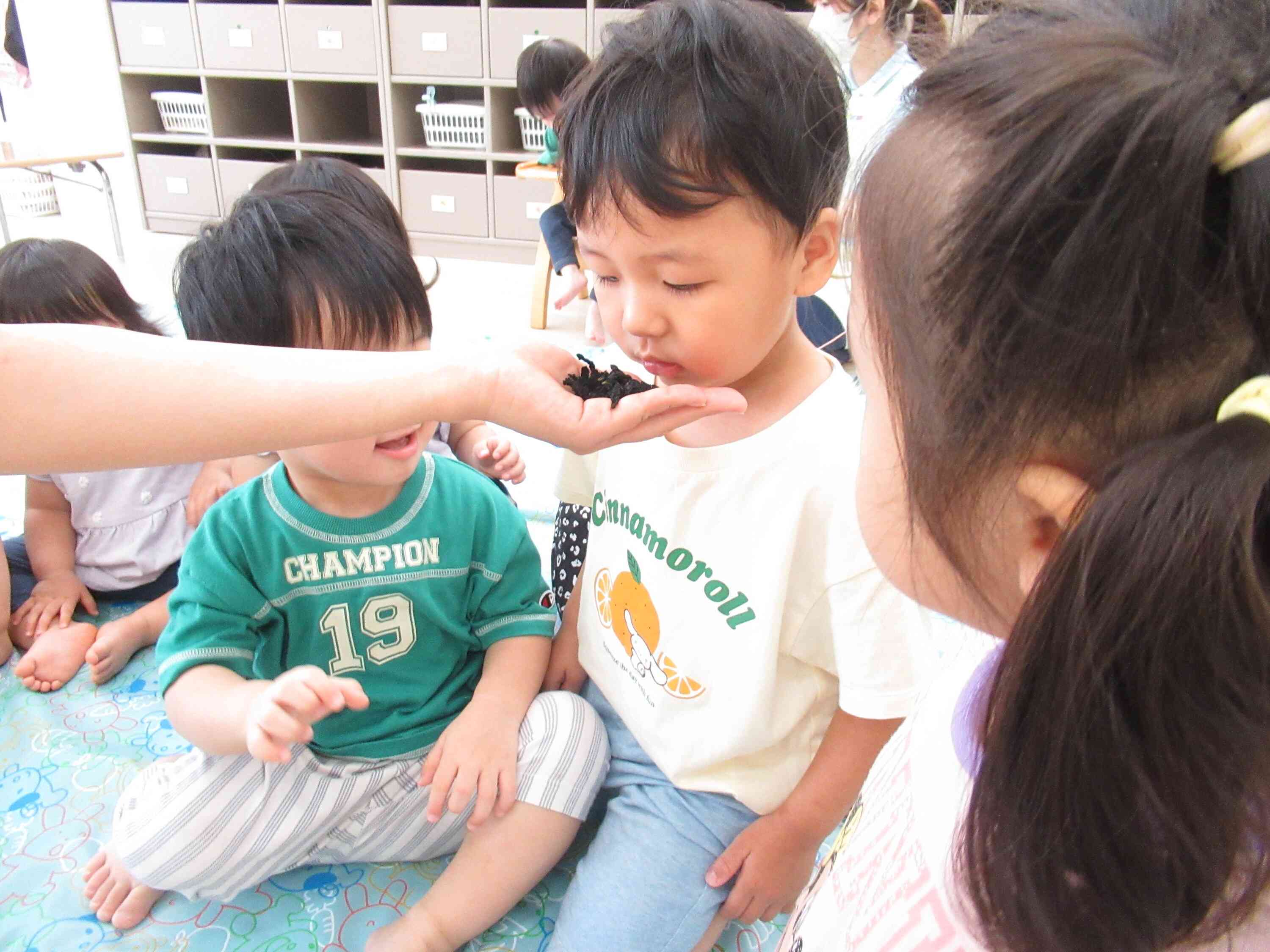 ６月食育