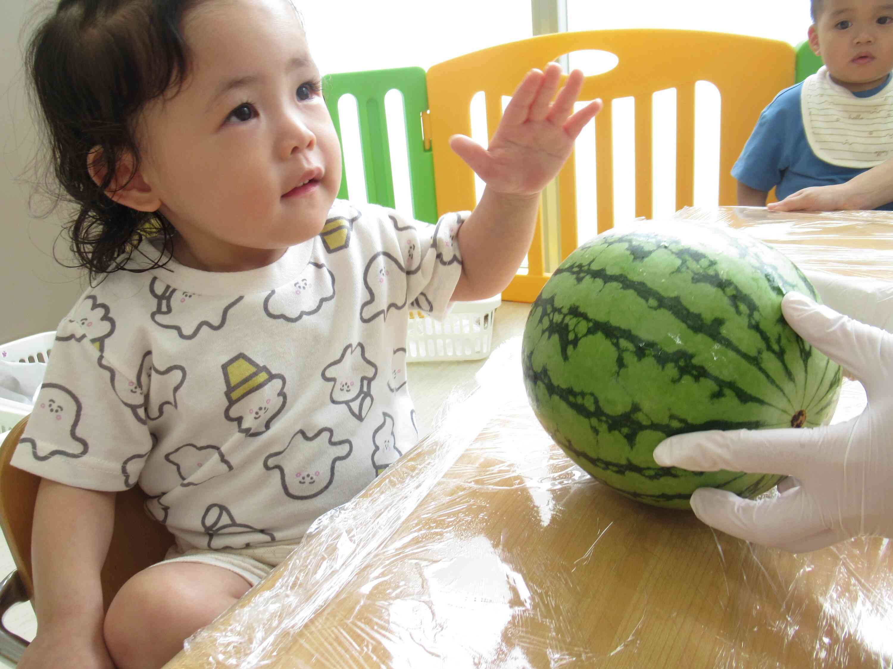 8月食育