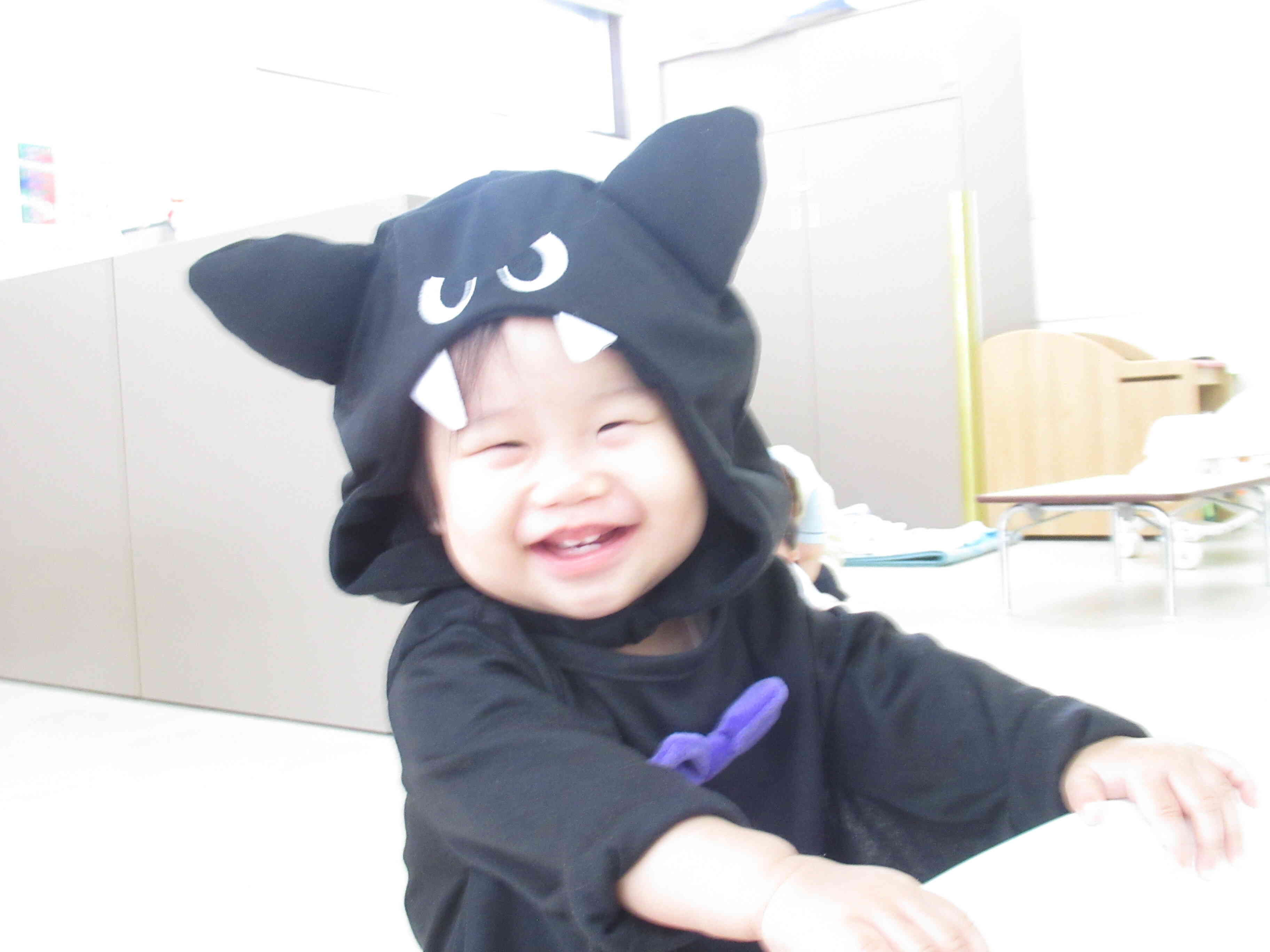 かわいいコウモリさん♡