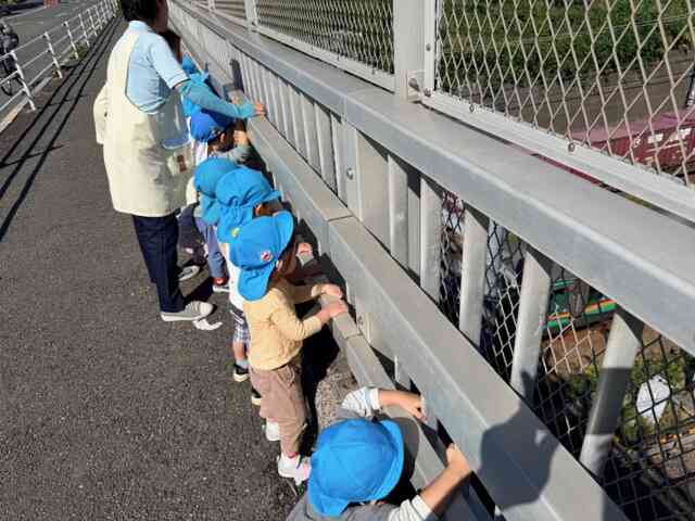 【うさぎ組さんのおさんぽ日和】