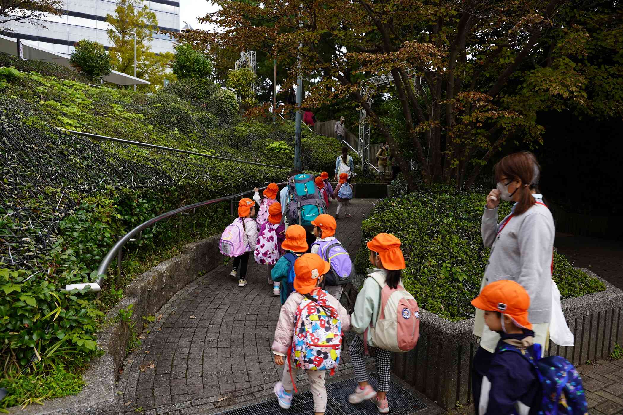 3歳児りす組の遠足