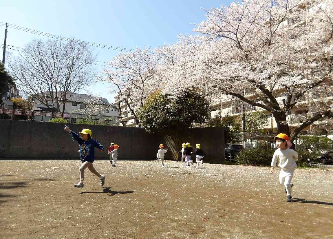 4・5歳児　桜の下で