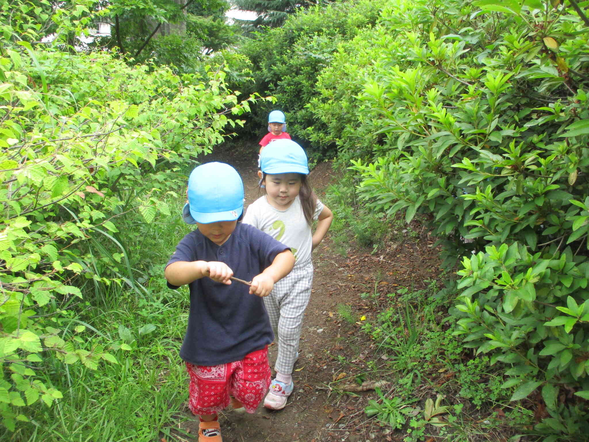 ３歳児　おさんぽのその先は！？