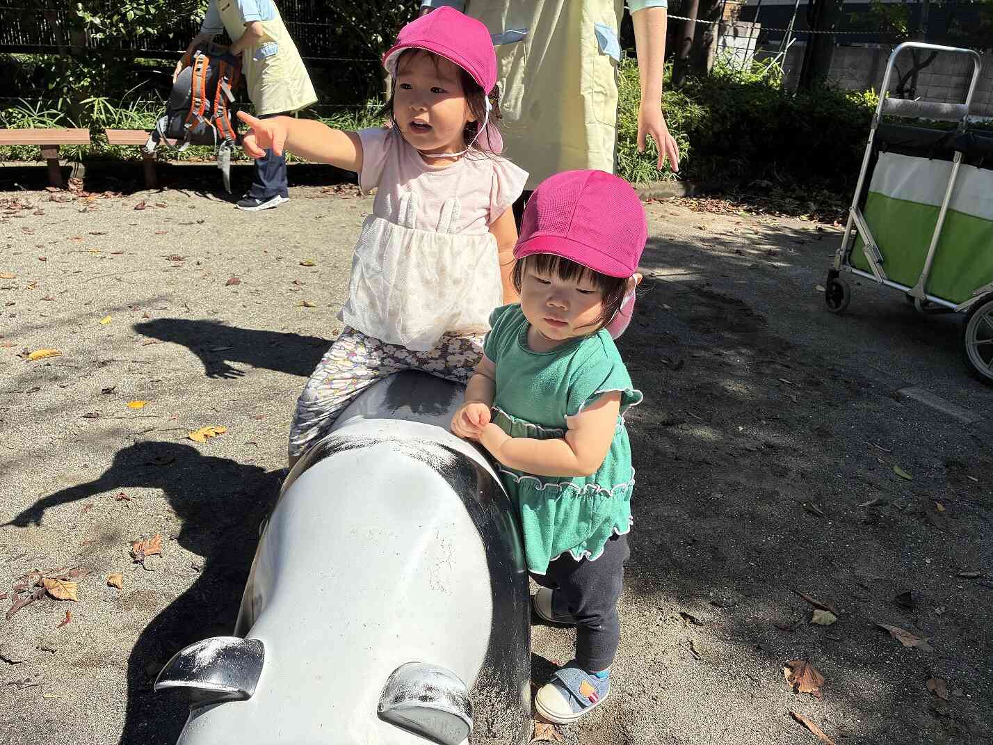 思いっきり発見！！・そっと発見！！